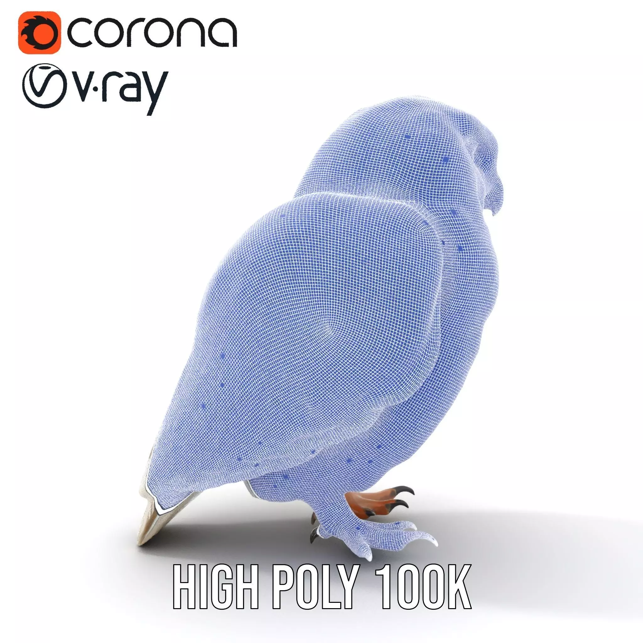 Majestic Snowy Owl model pack Low-poly 3D model_33