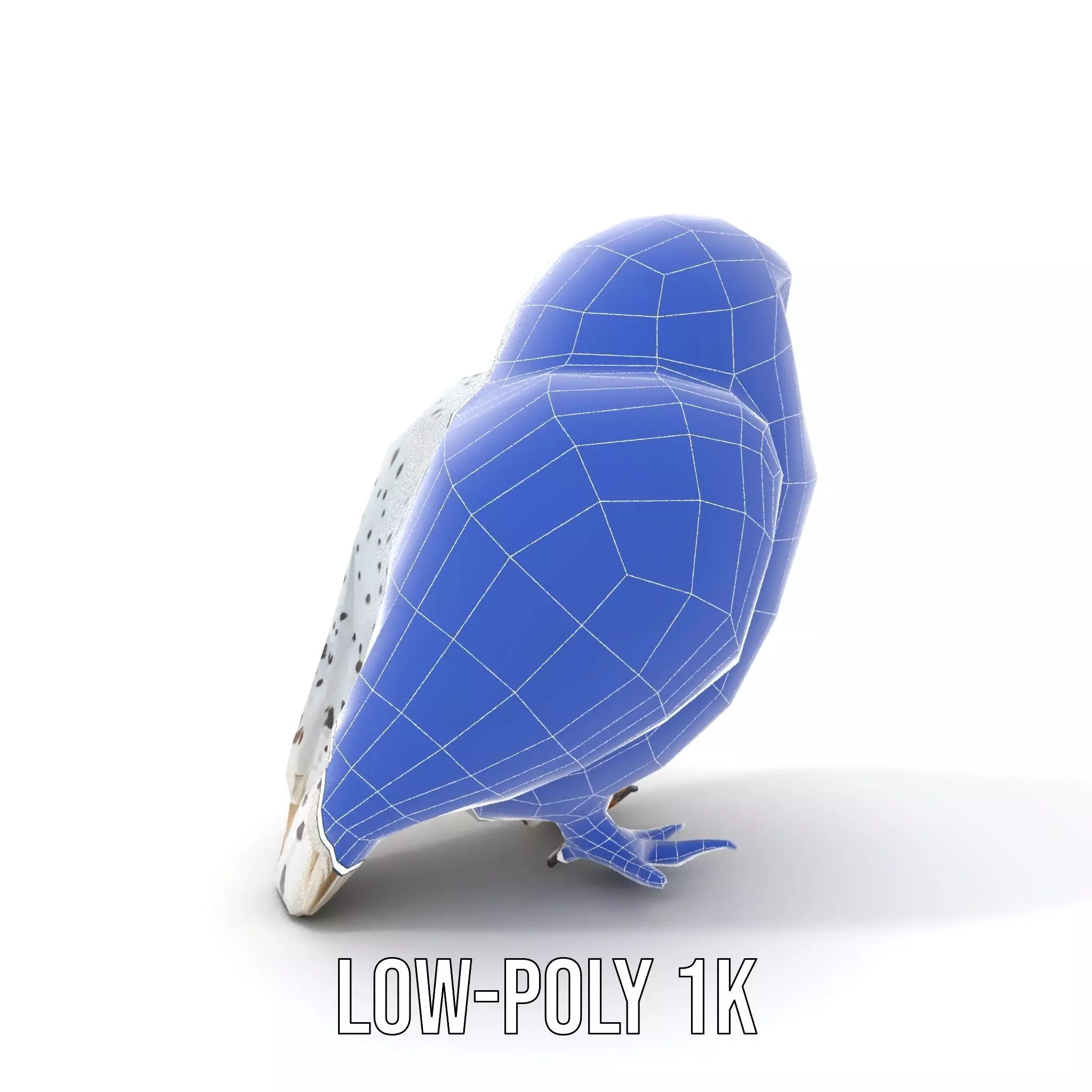 Majestic Snowy Owl model pack Low-poly 3D model_22