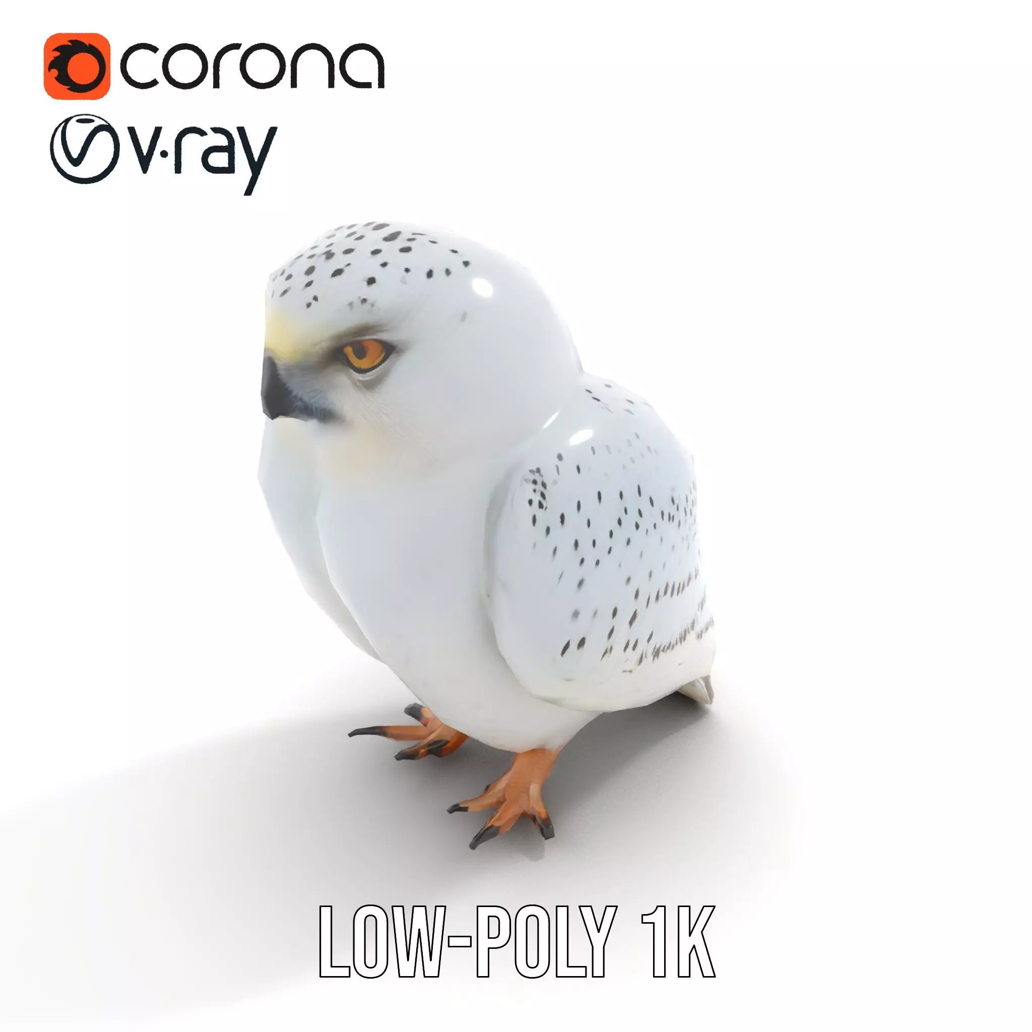 Majestic Snowy Owl model pack Low-poly 3D model_12
