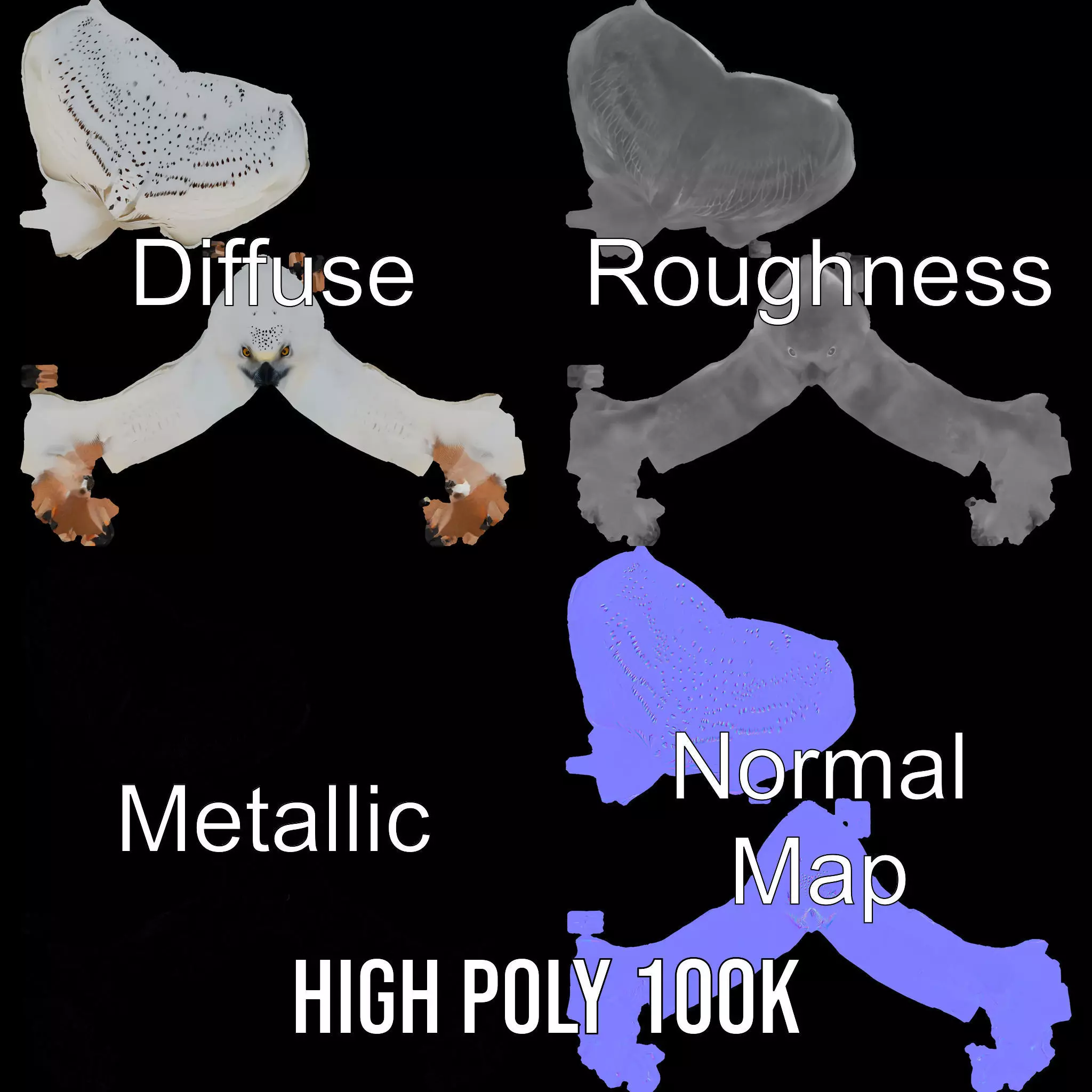 Majestic Snowy Owl model pack Low-poly 3D model_3