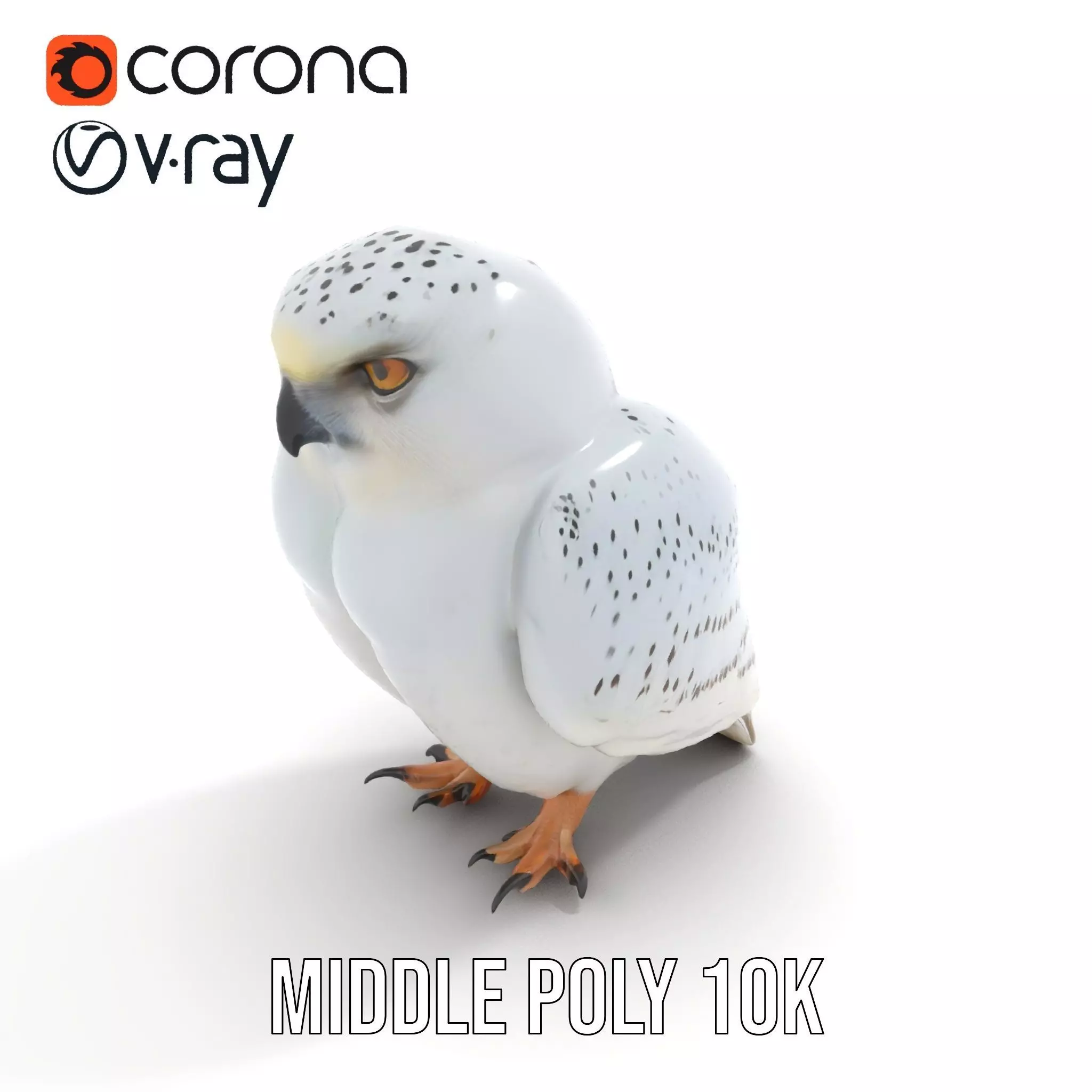 Majestic Snowy Owl model pack Low-poly 3D model_6