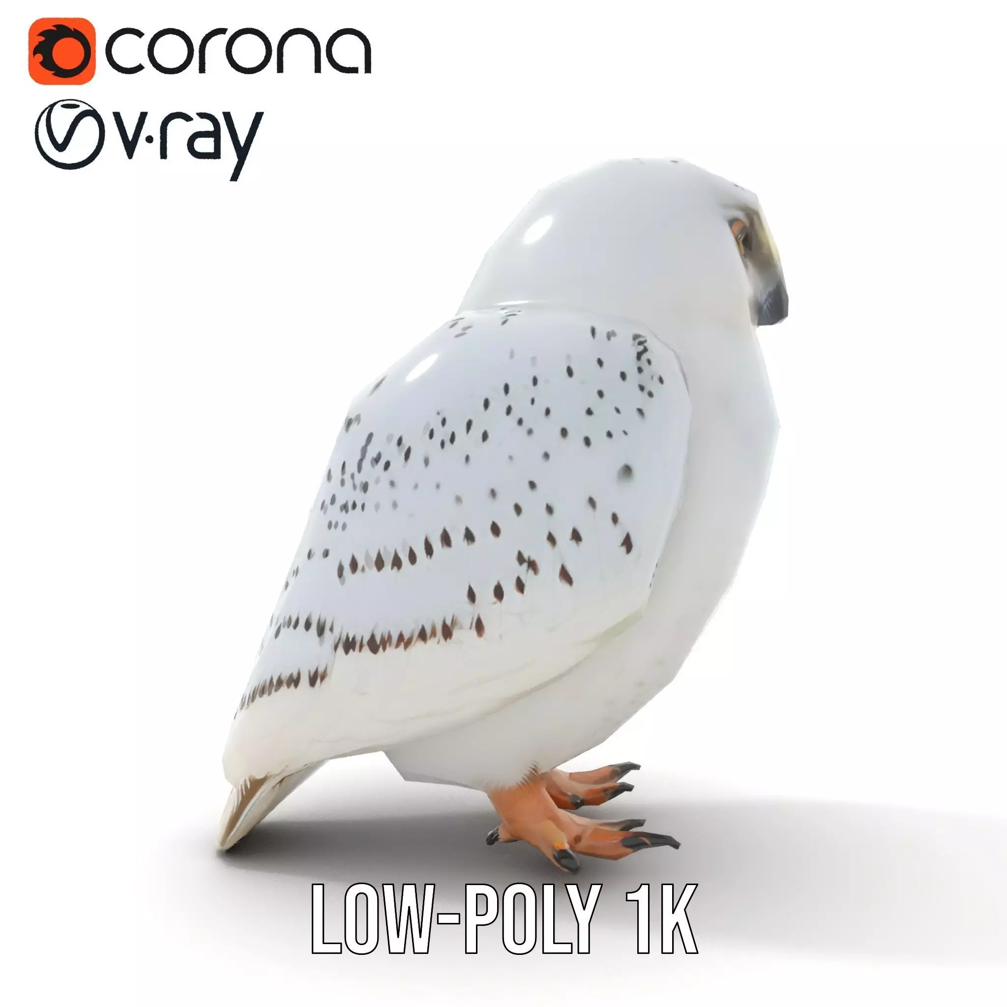 Majestic Snowy Owl model pack Low-poly 3D model_9