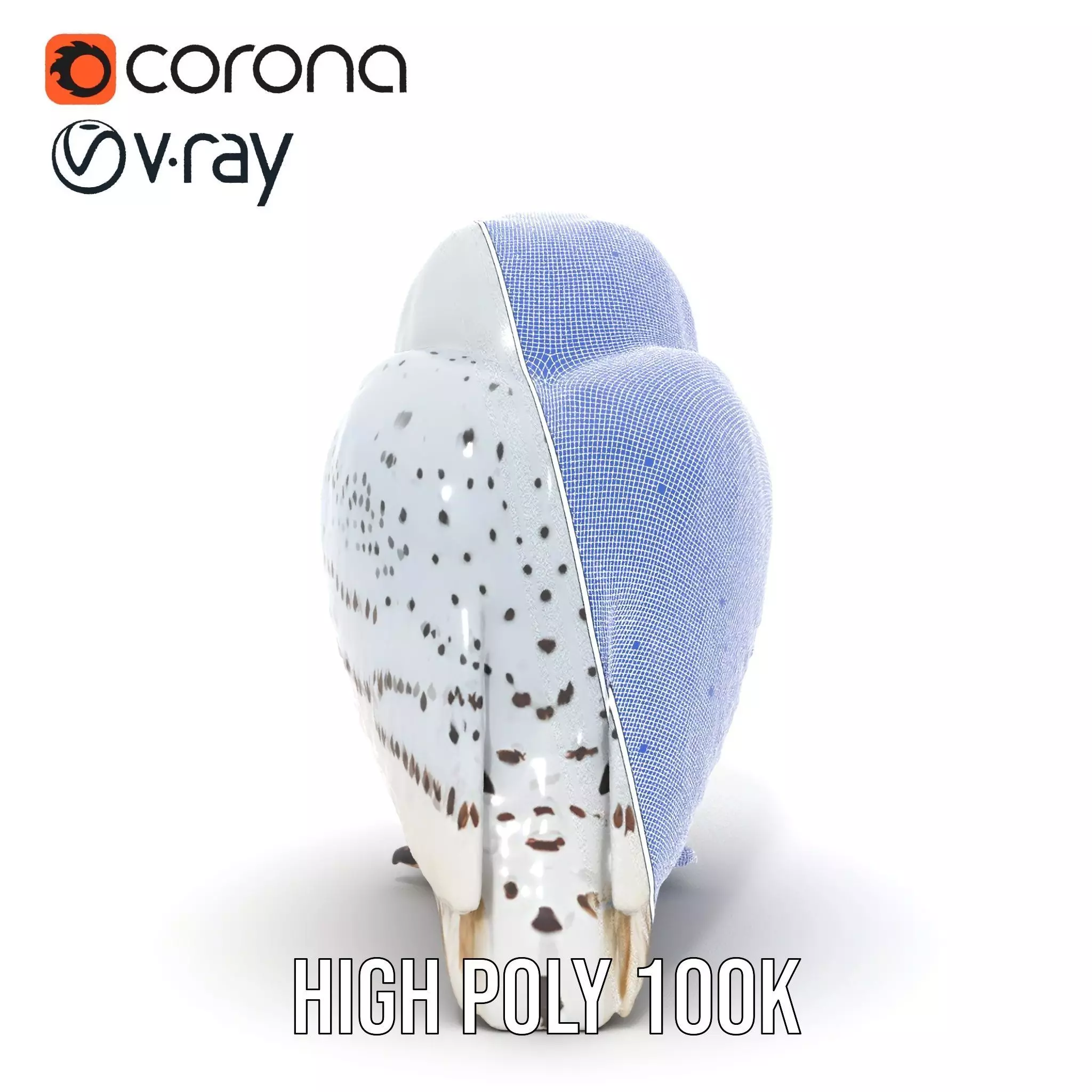 Majestic Snowy Owl model pack Low-poly 3D model_32