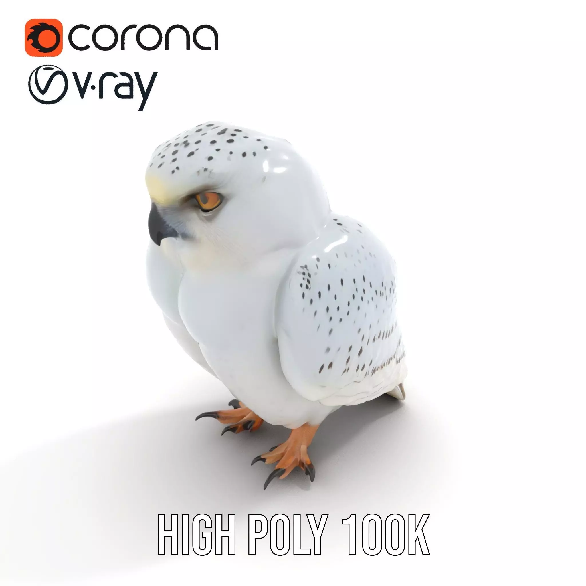 Majestic Snowy Owl model pack Low-poly 3D model_17