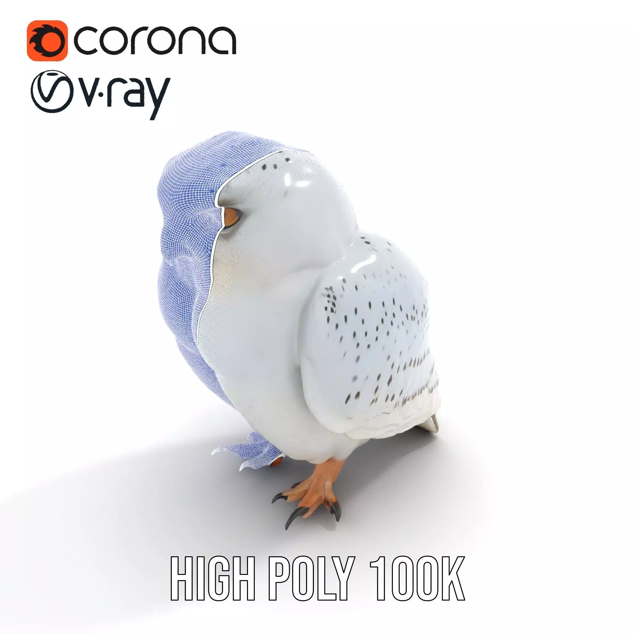 Majestic Snowy Owl model pack Low-poly 3D model_20