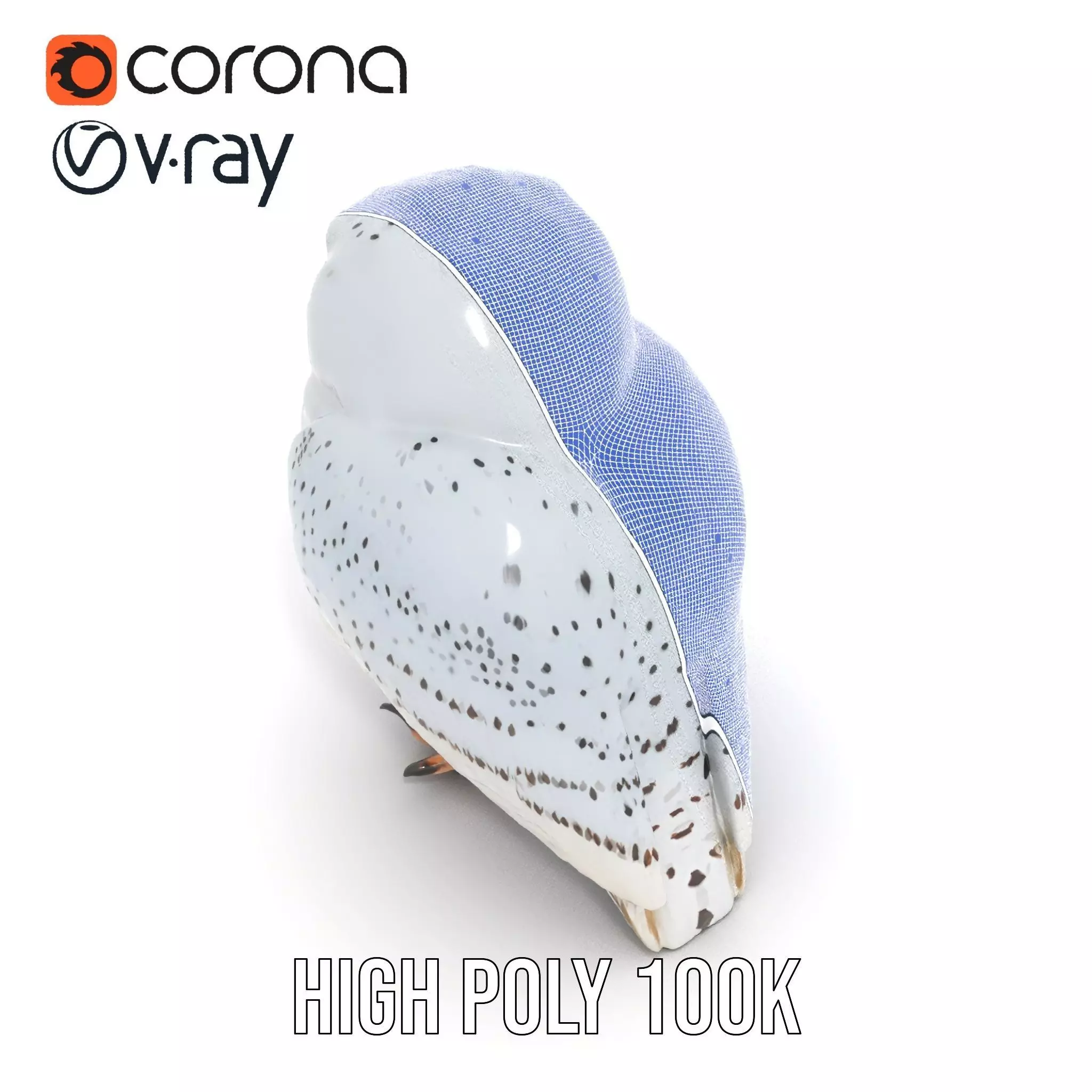 Majestic Snowy Owl model pack Low-poly 3D model_29