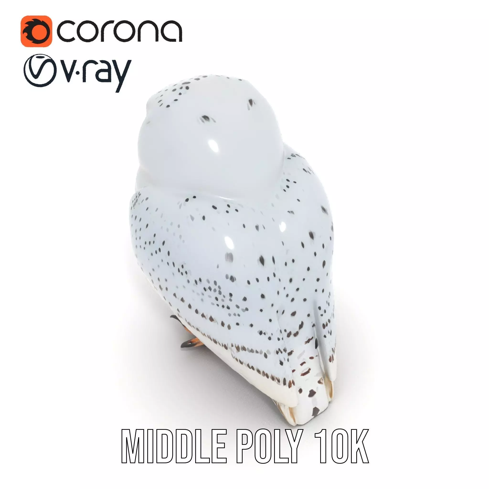 Majestic Snowy Owl model pack Low-poly 3D model_13