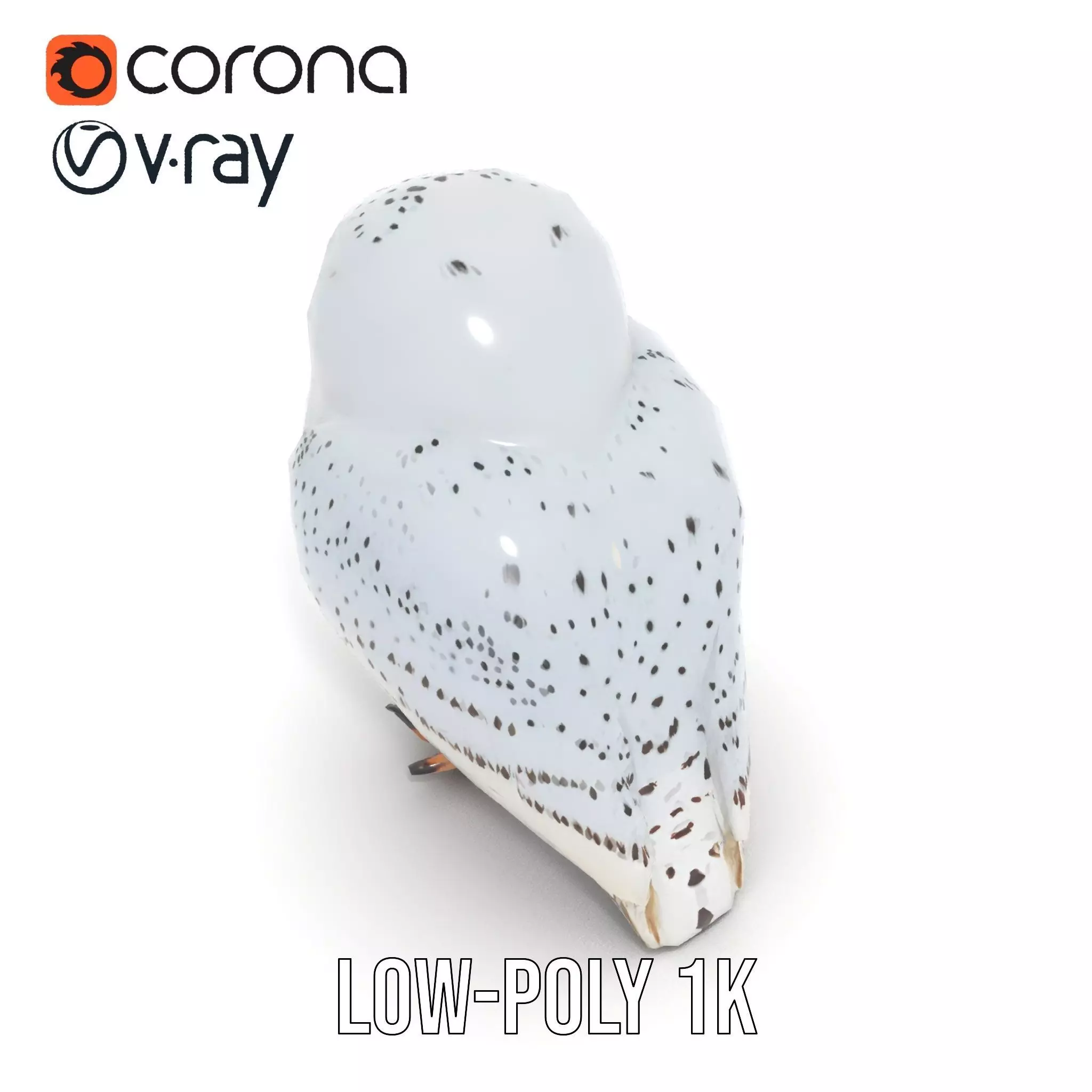Majestic Snowy Owl model pack Low-poly 3D model_19