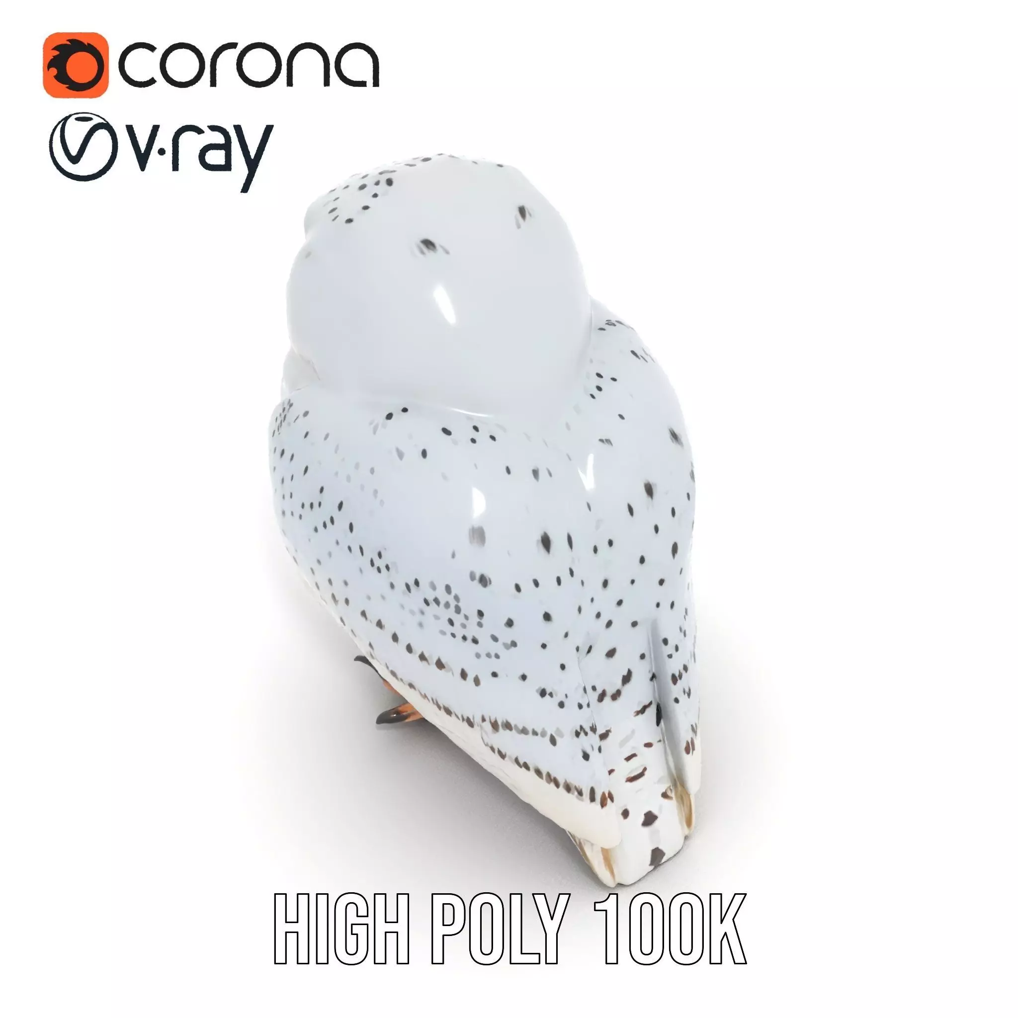 Majestic Snowy Owl model pack Low-poly 3D model_26