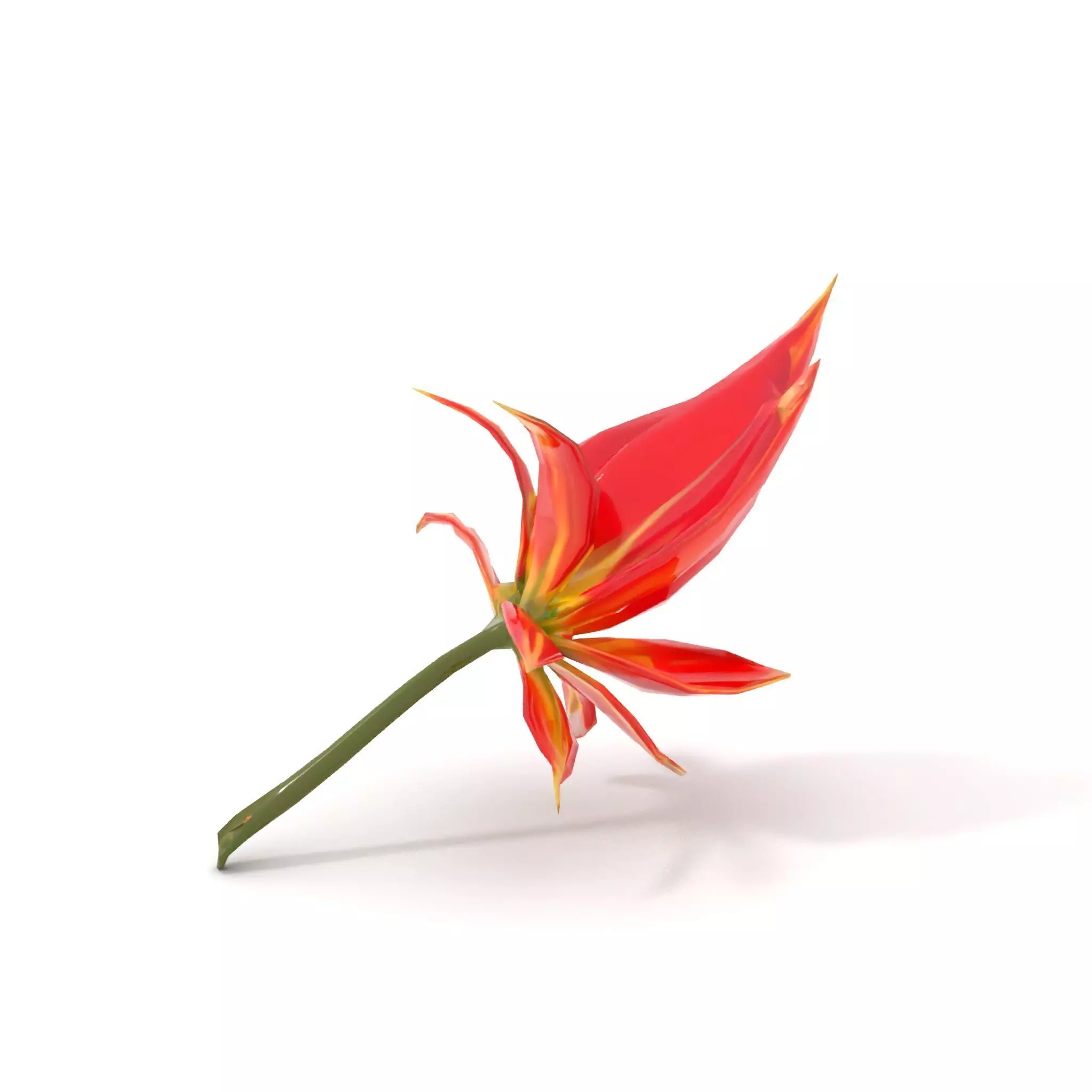 Pink Dew Flower model pack Low-poly 3D model_16