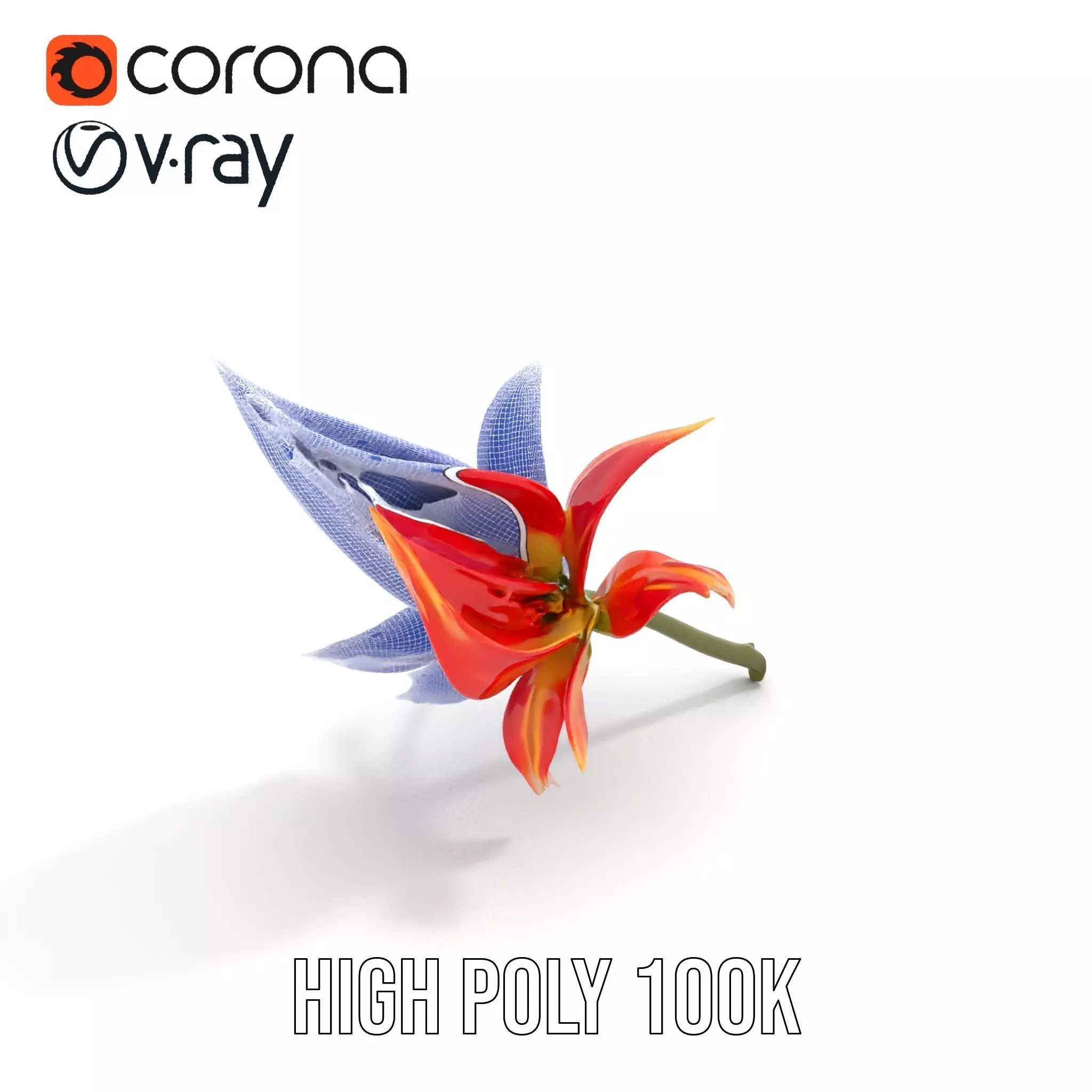 Pink Dew Flower model pack Low-poly 3D model_23