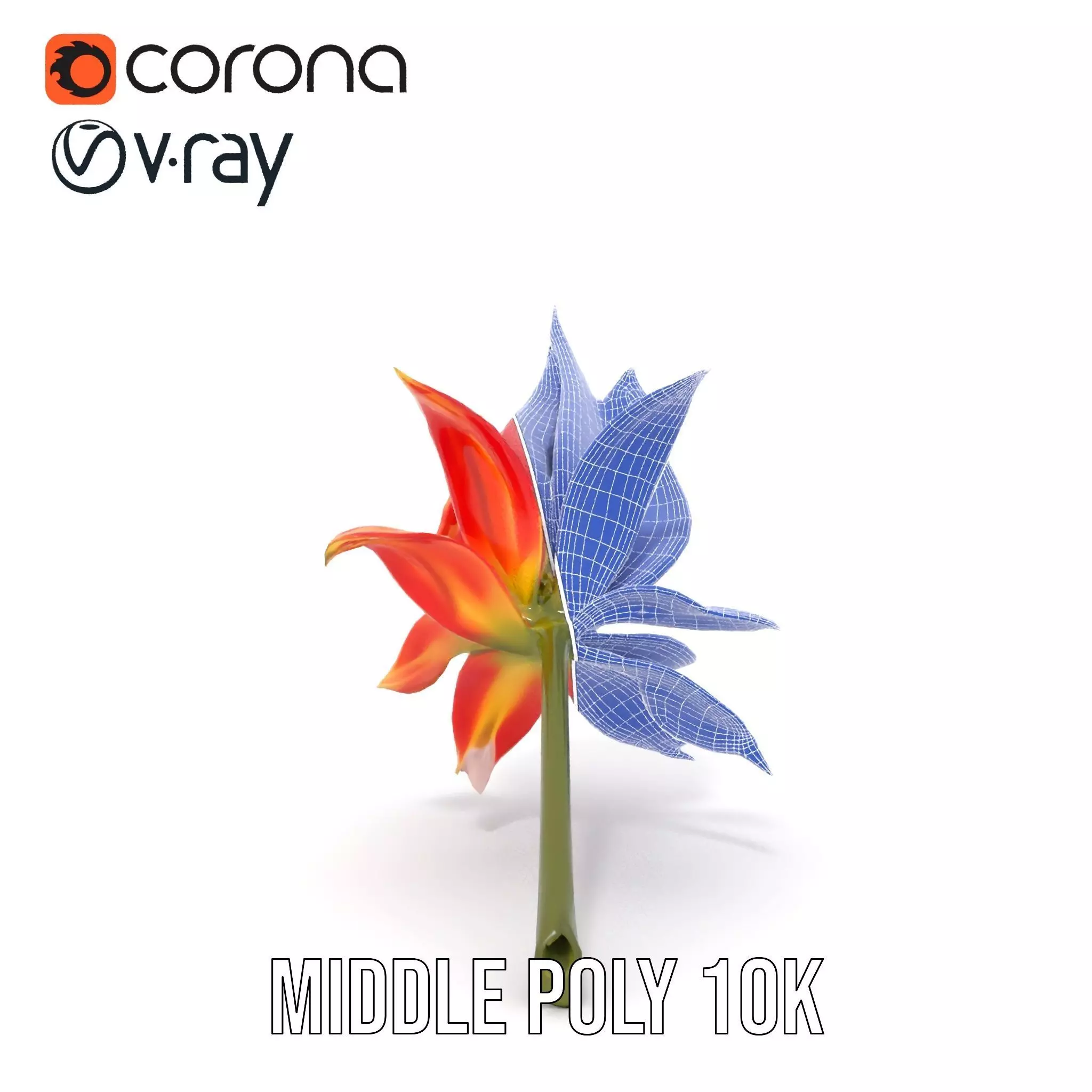 Pink Dew Flower model pack Low-poly 3D model_15