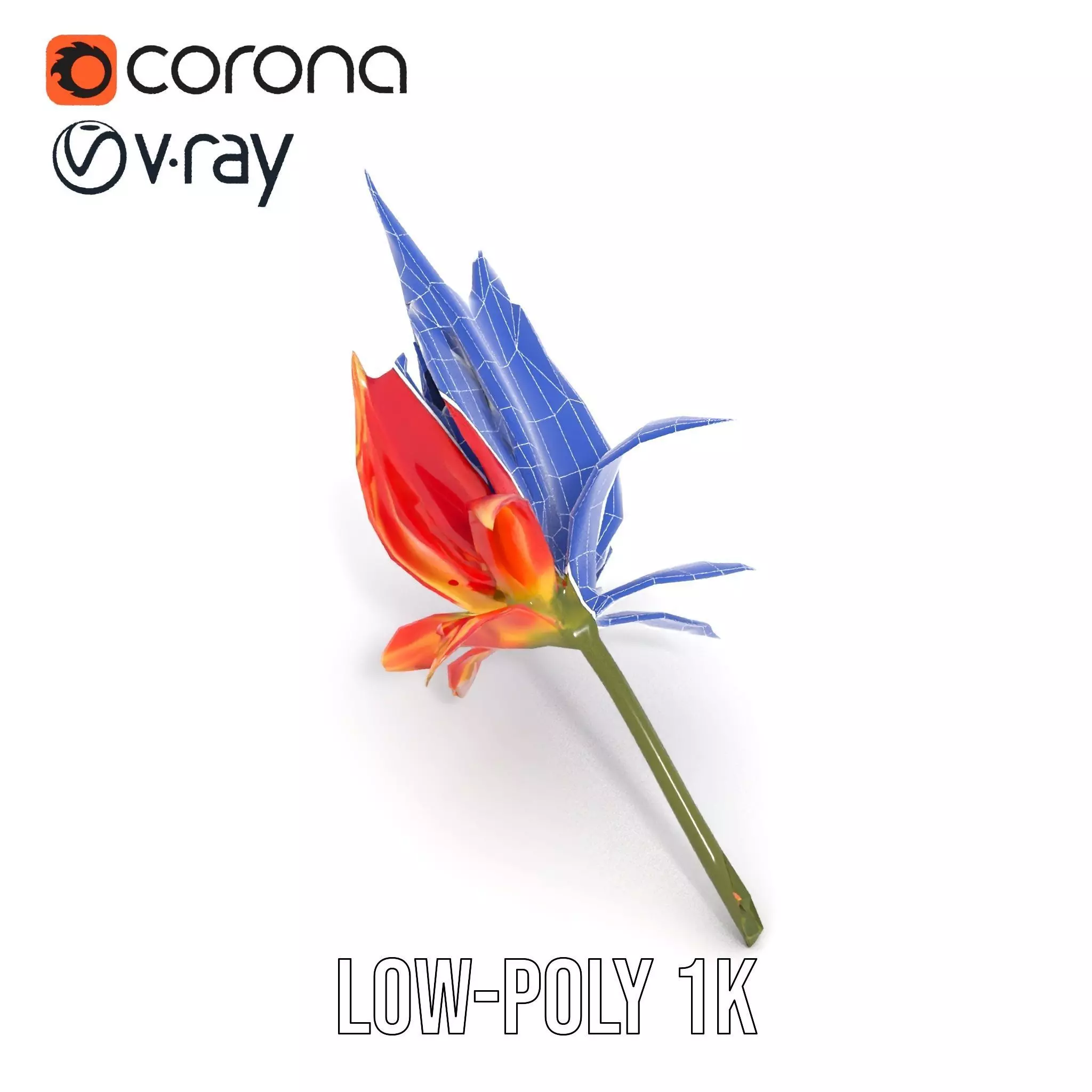 Pink Dew Flower model pack Low-poly 3D model_19