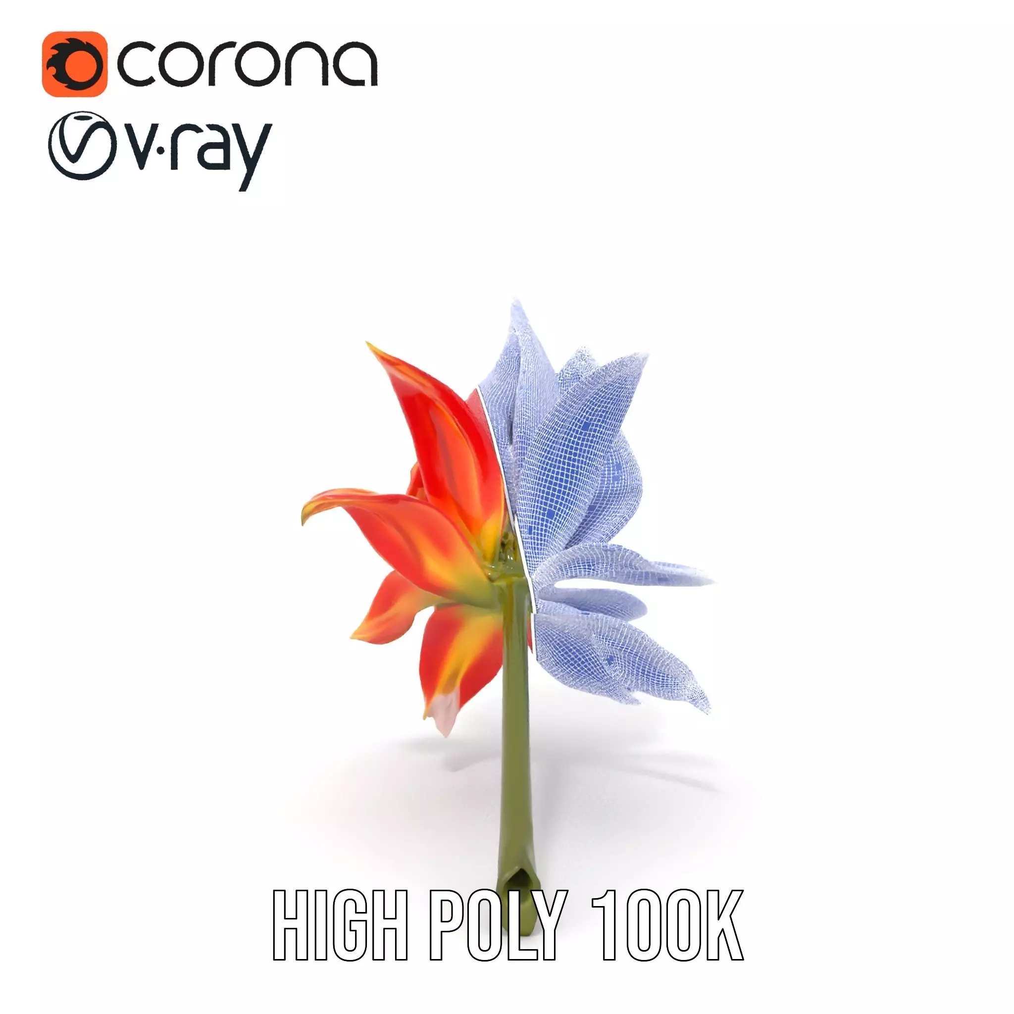 Pink Dew Flower model pack Low-poly 3D model_34