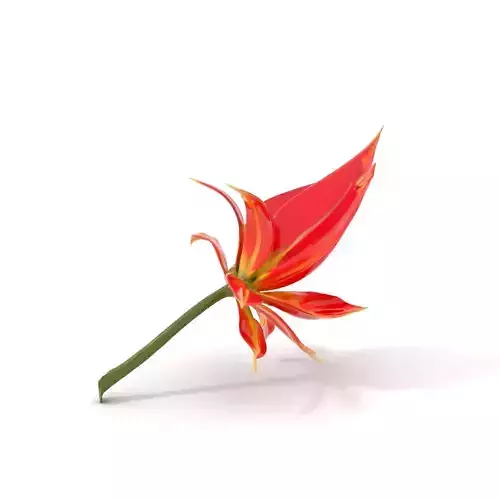 Pink Dew Flower model pack