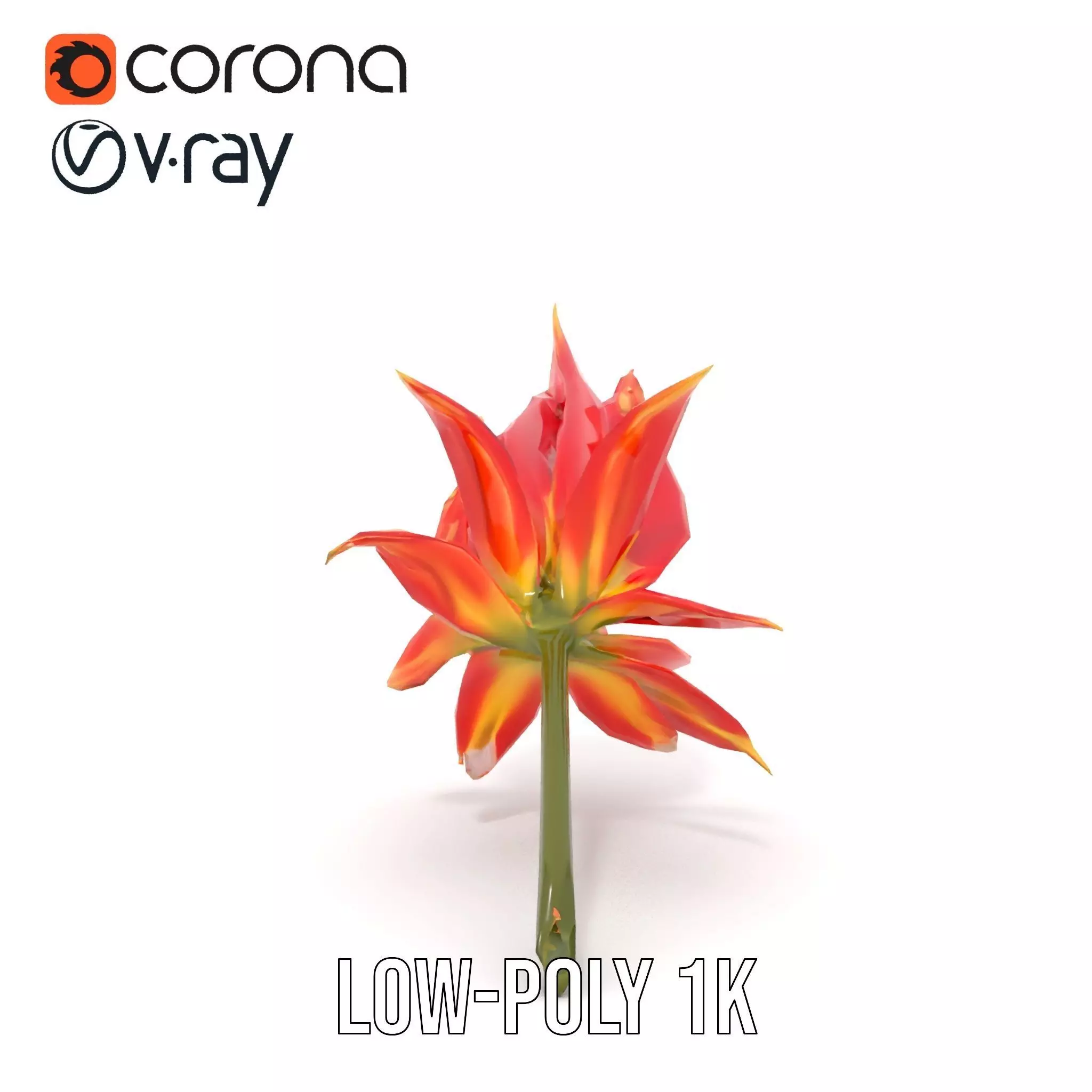 Pink Dew Flower model pack Low-poly 3D model_9