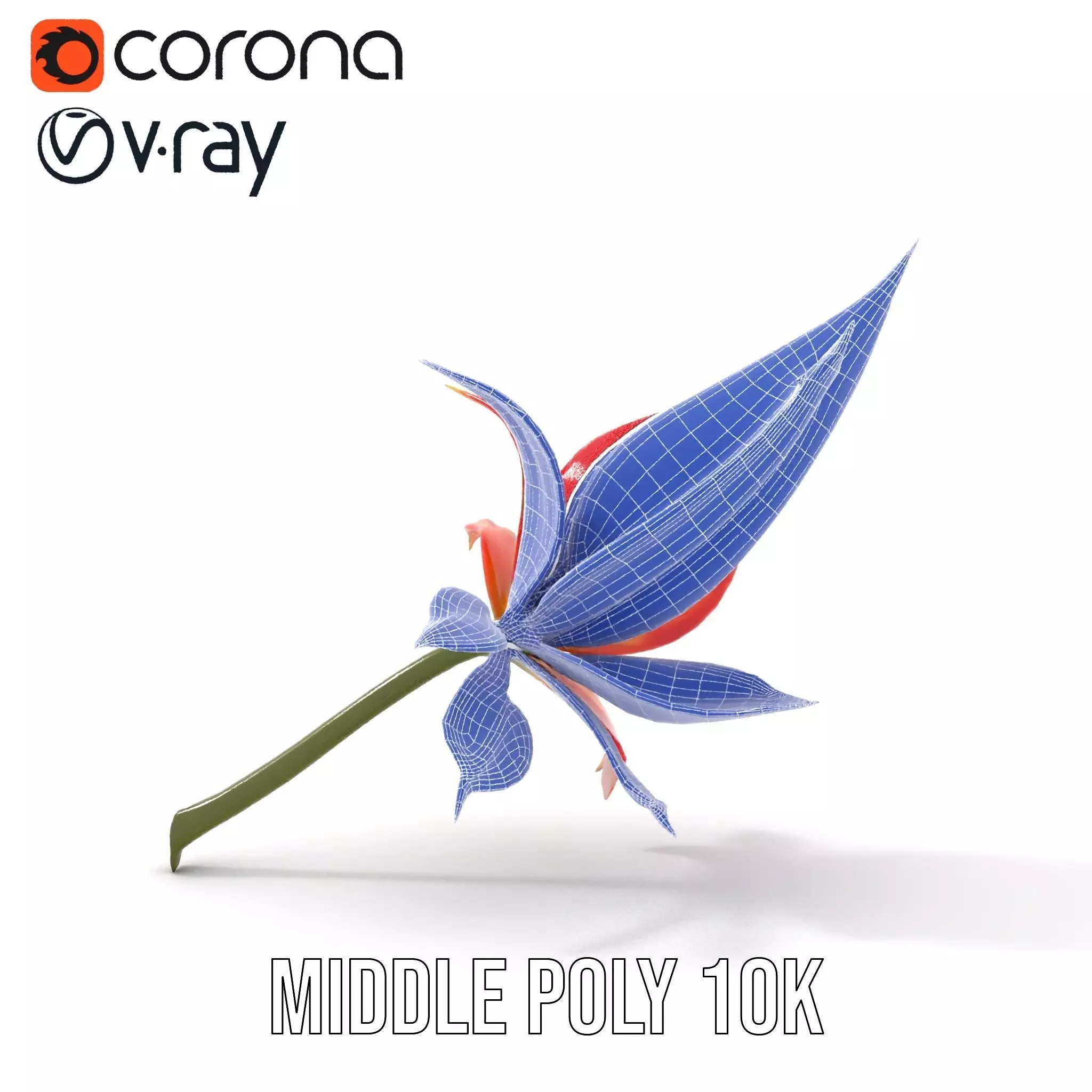 Pink Dew Flower model pack Low-poly 3D model_11