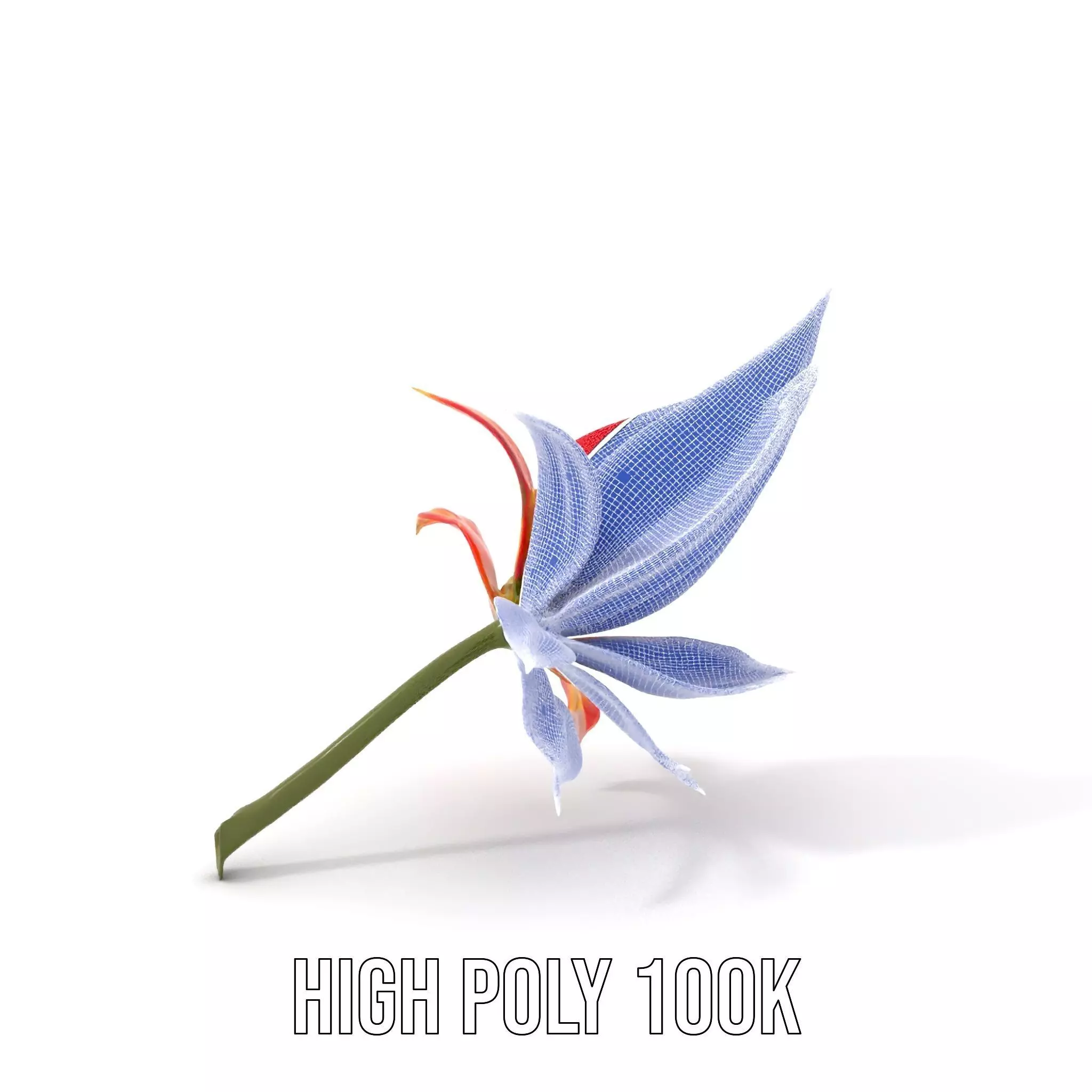 Pink Dew Flower model pack Low-poly 3D model_4