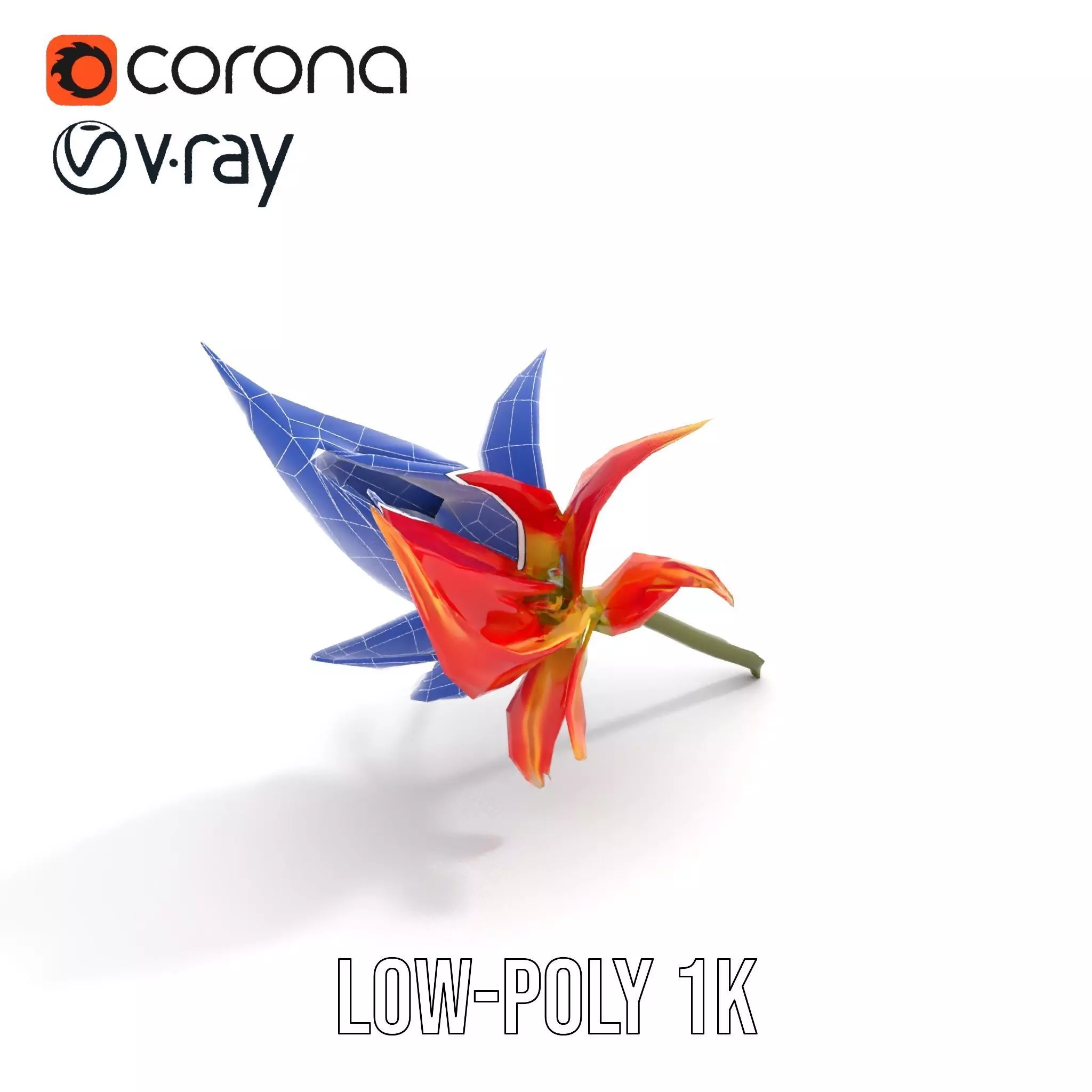 Pink Dew Flower model pack Low-poly 3D model_25