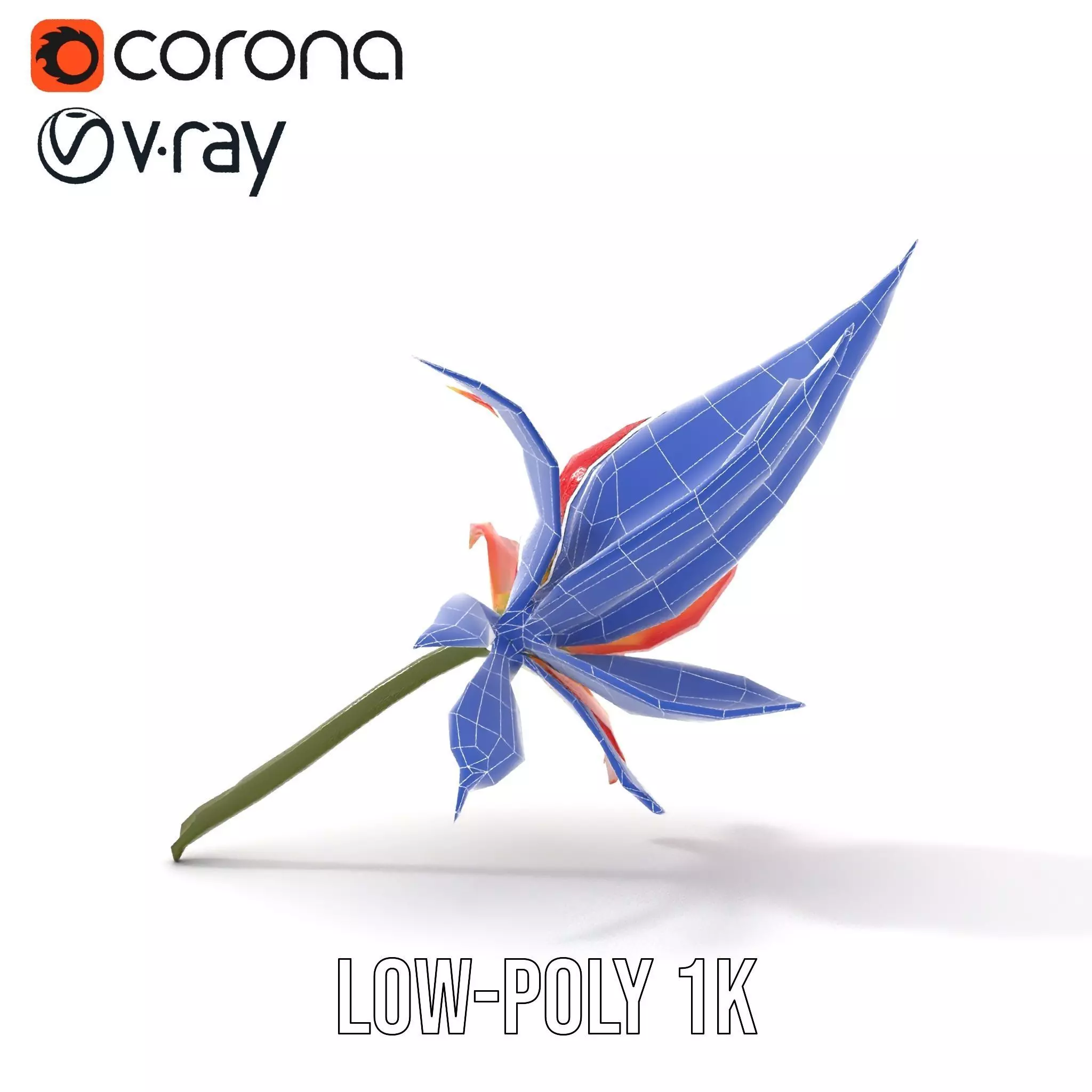 Pink Dew Flower model pack Low-poly 3D model_22