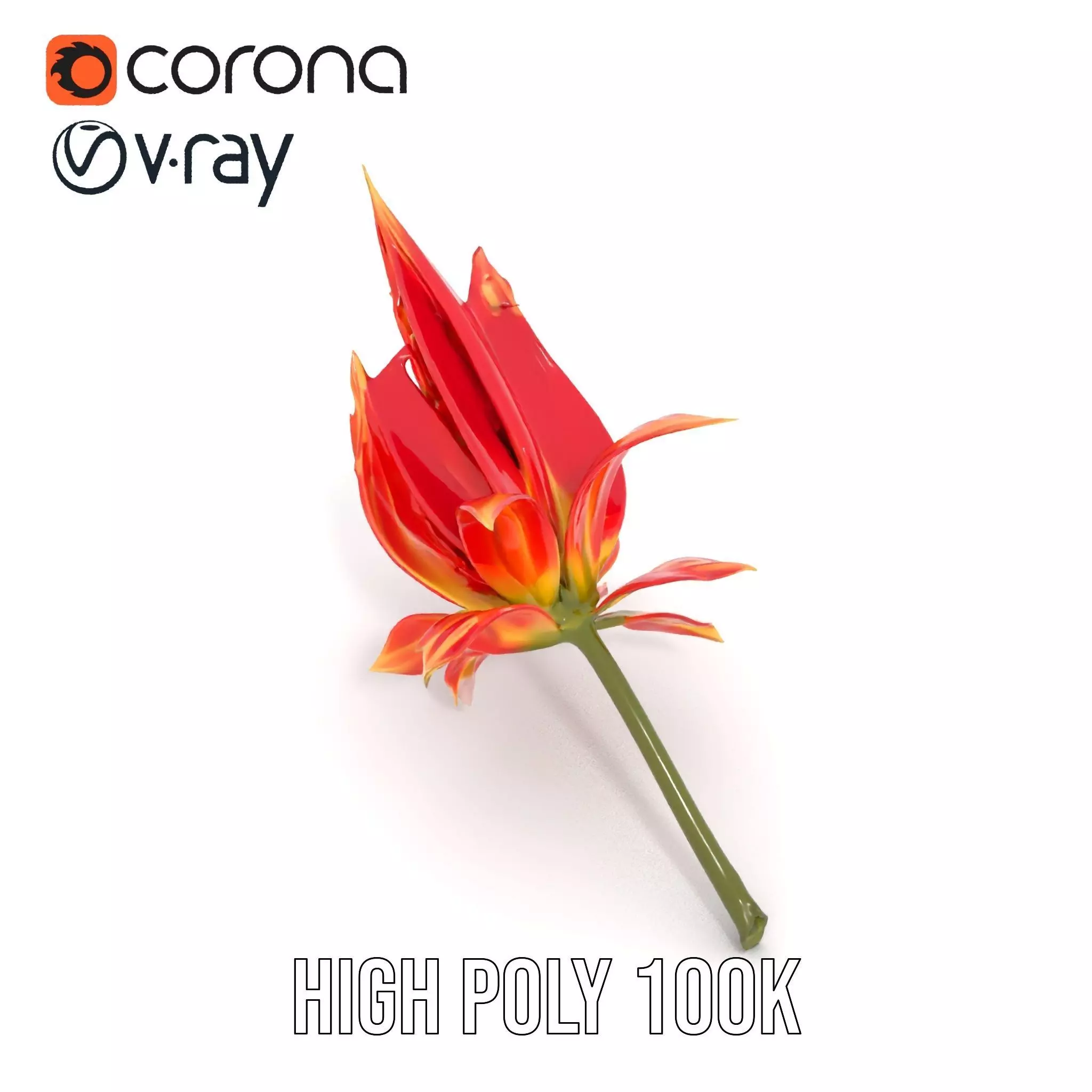 Pink Dew Flower model pack Low-poly 3D model_28