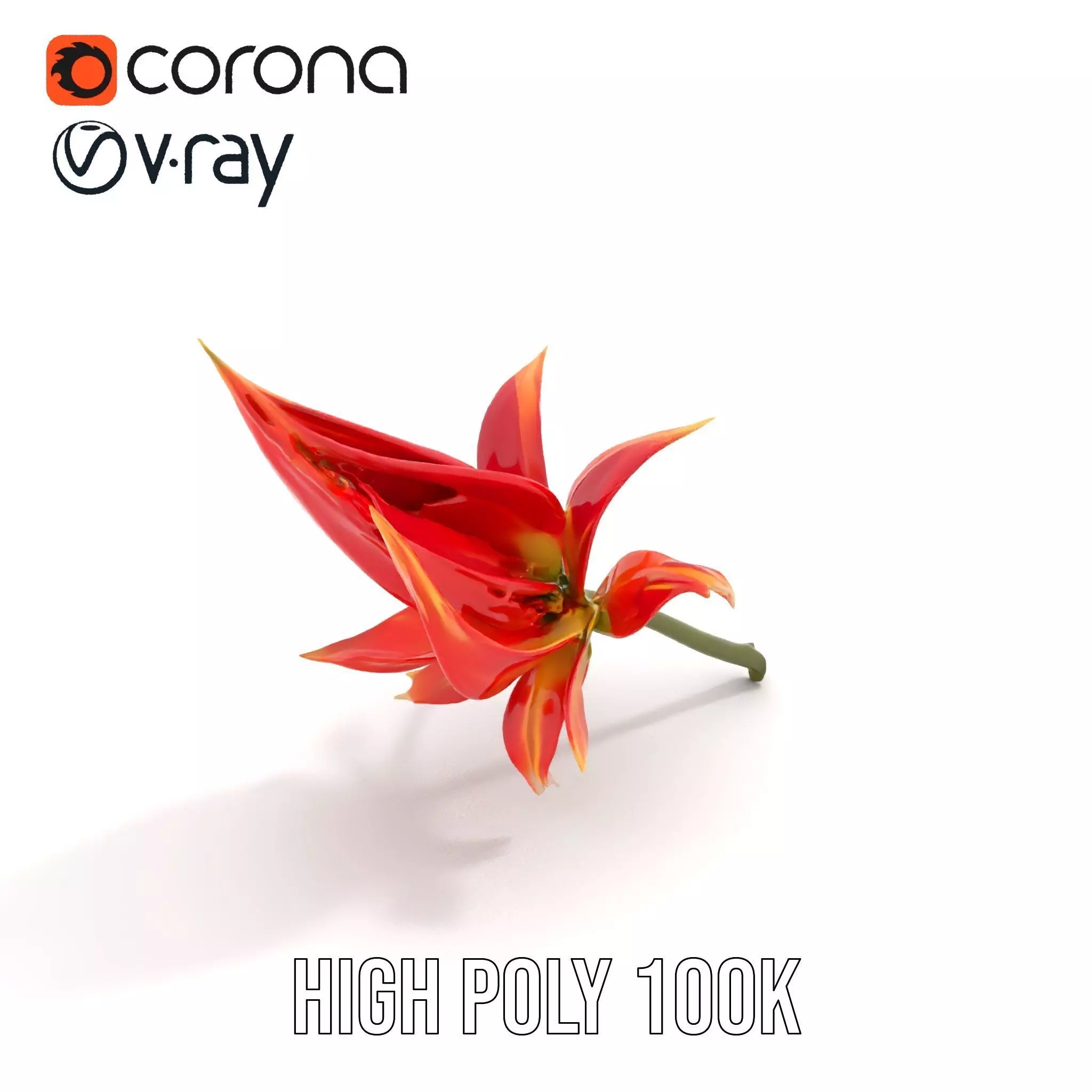 Pink Dew Flower model pack Low-poly 3D model_17