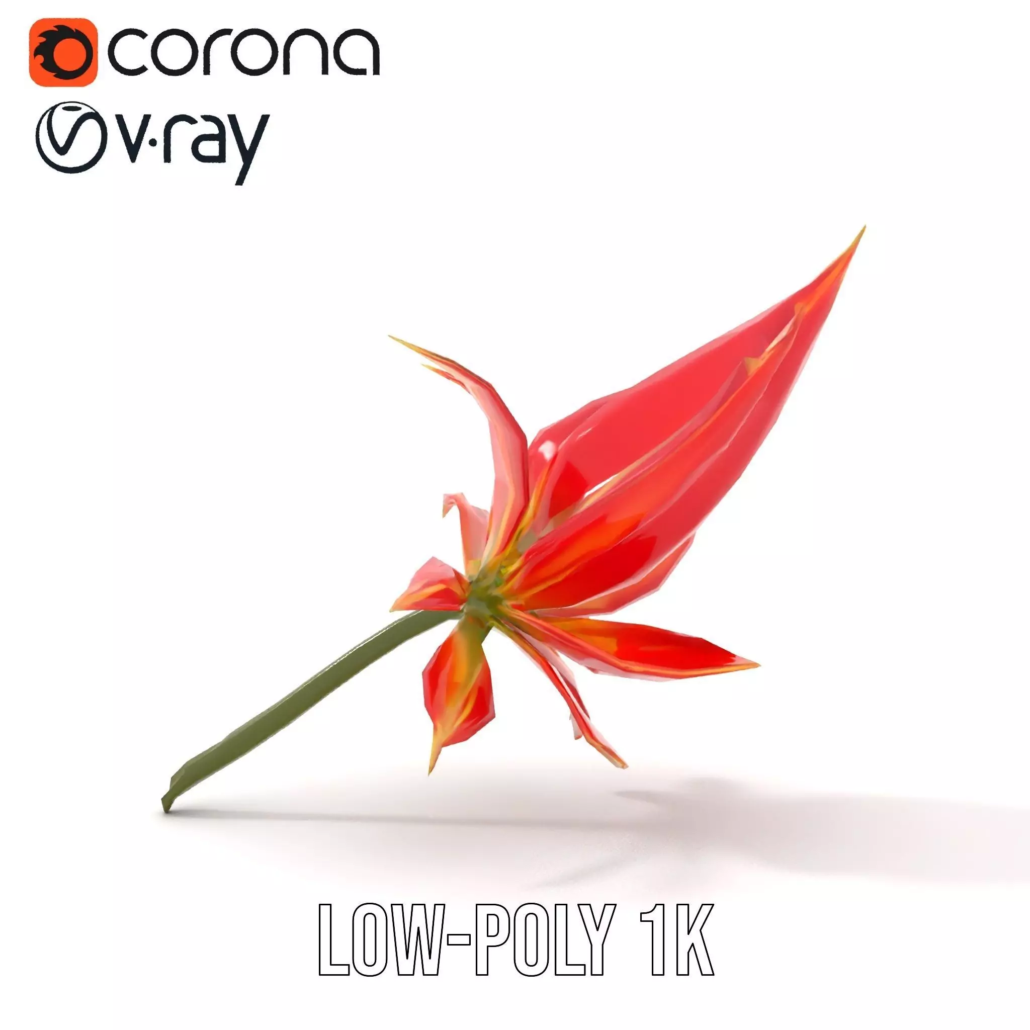 Pink Dew Flower model pack Low-poly 3D model_14