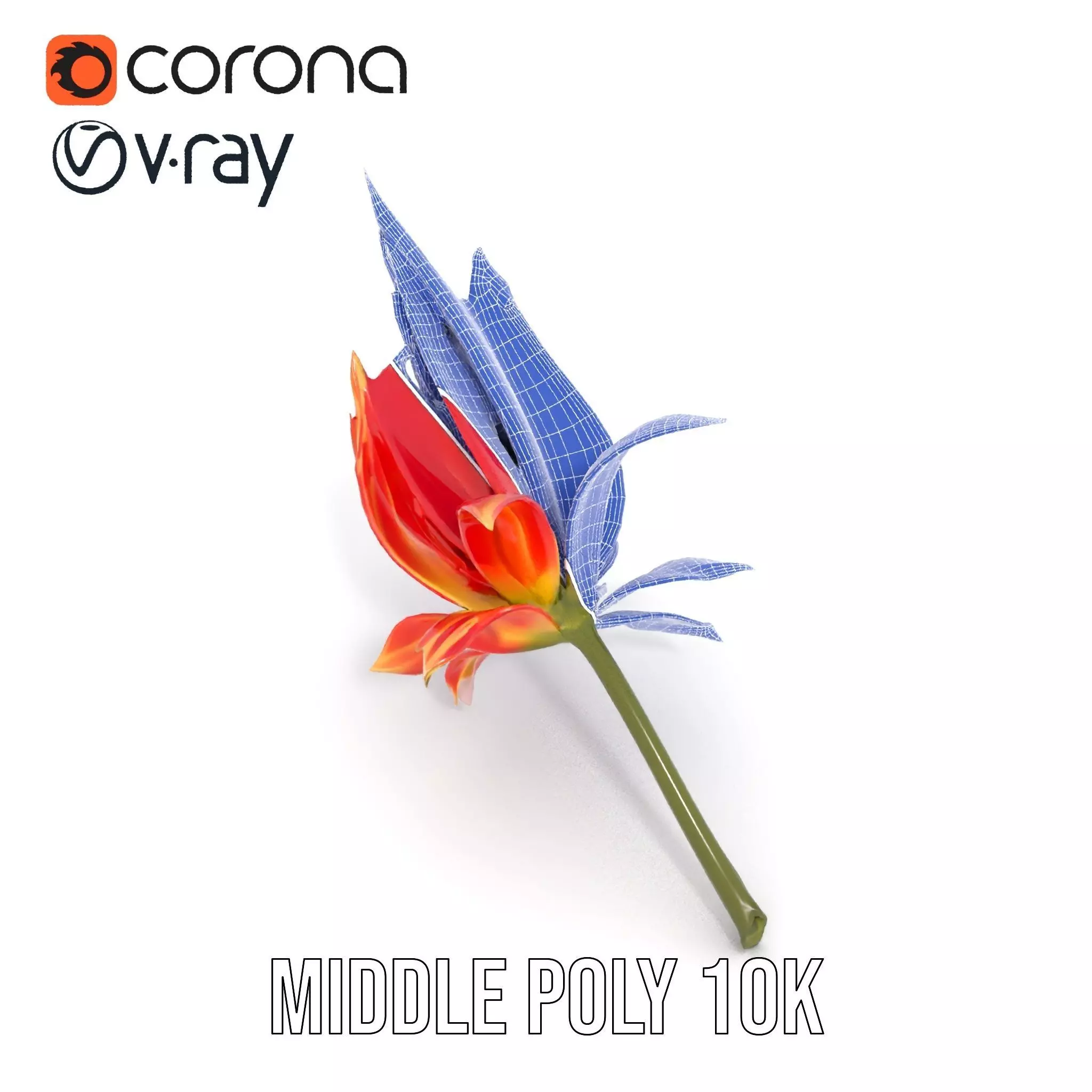 Pink Dew Flower model pack Low-poly 3D model_24