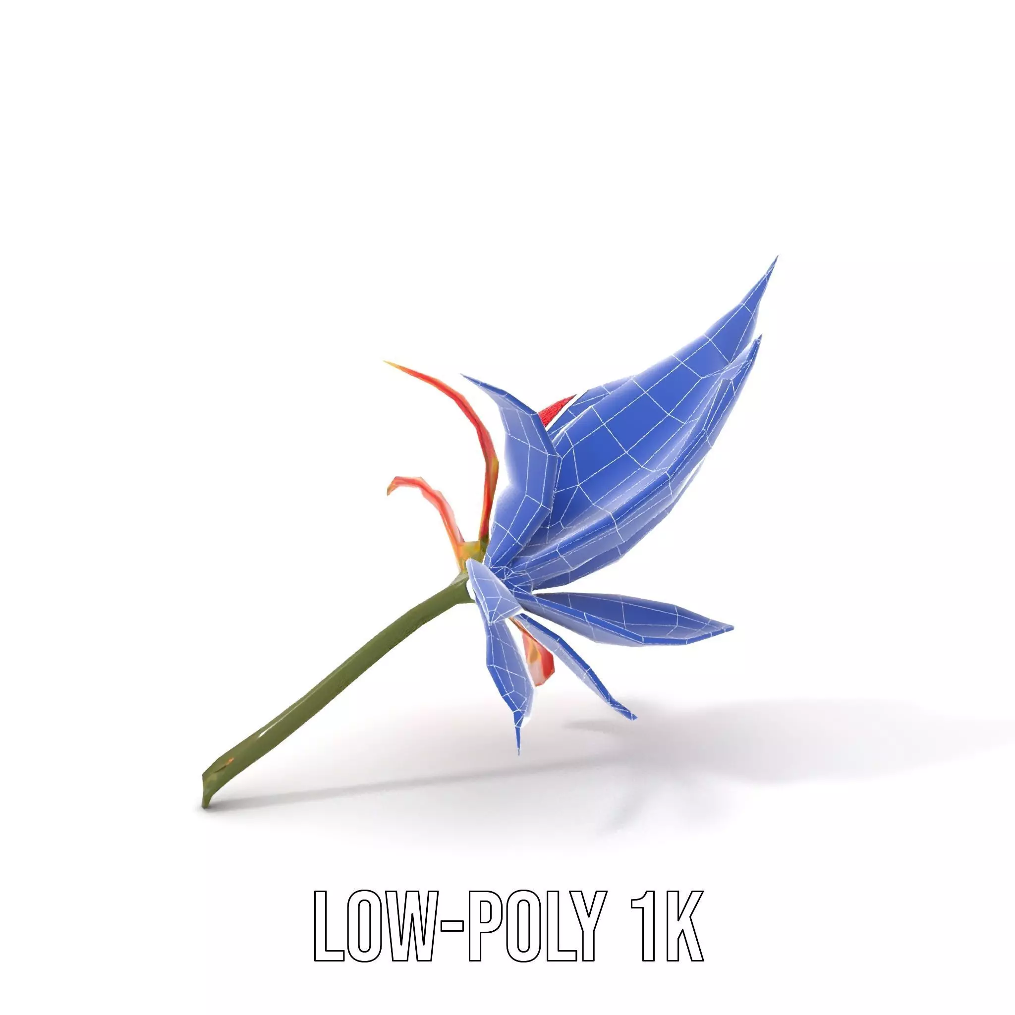 Pink Dew Flower model pack Low-poly 3D model_30