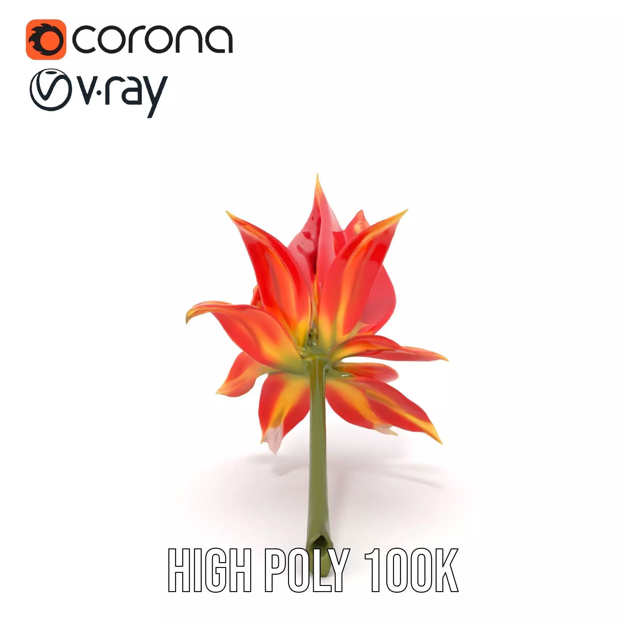 Pink Dew Flower model pack Low-poly 3D model_32