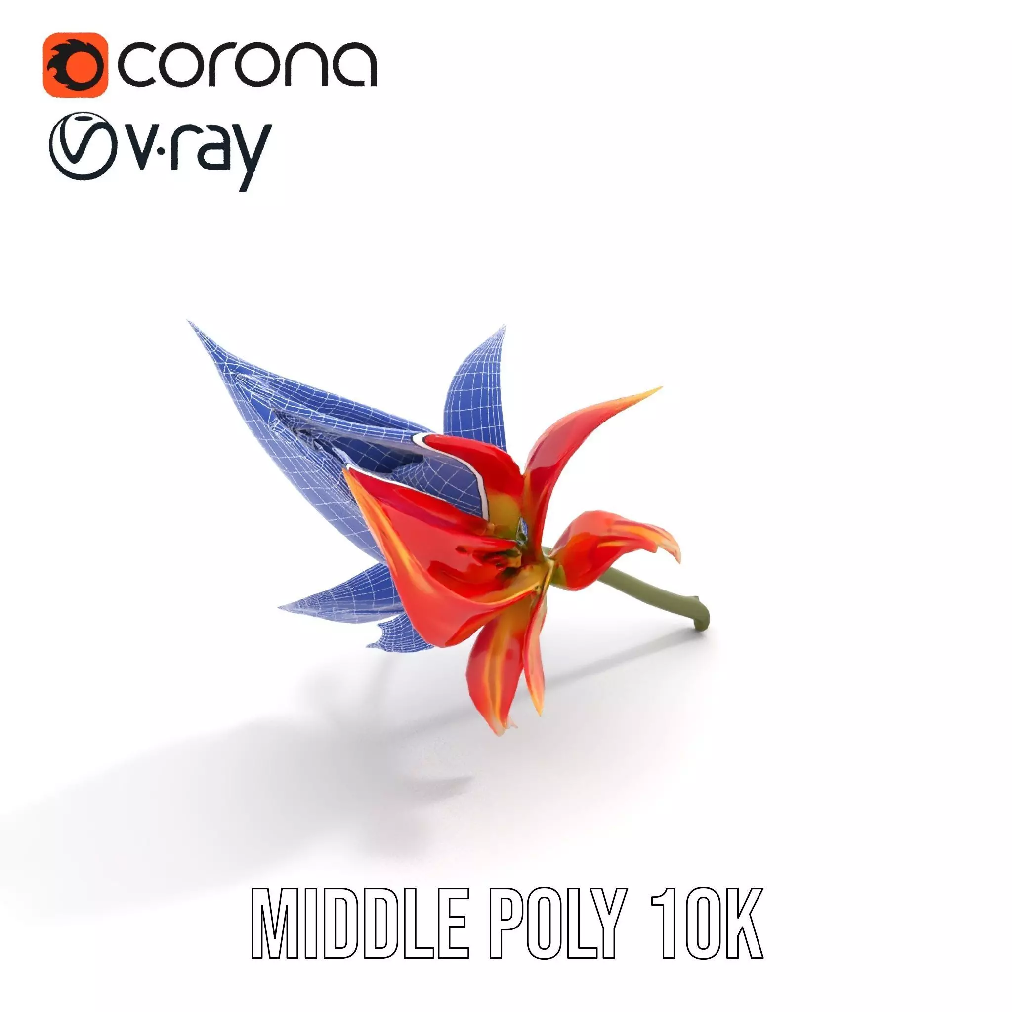 Pink Dew Flower model pack Low-poly 3D model_21