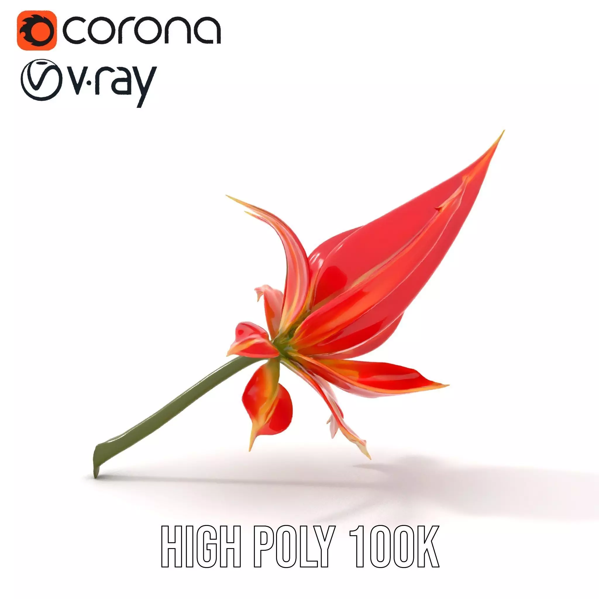 Pink Dew Flower model pack Low-poly 3D model_33