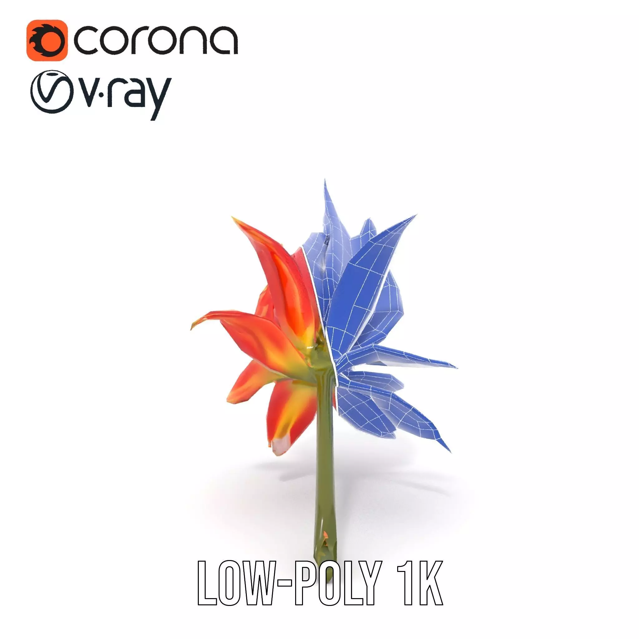 Pink Dew Flower model pack Low-poly 3D model_27