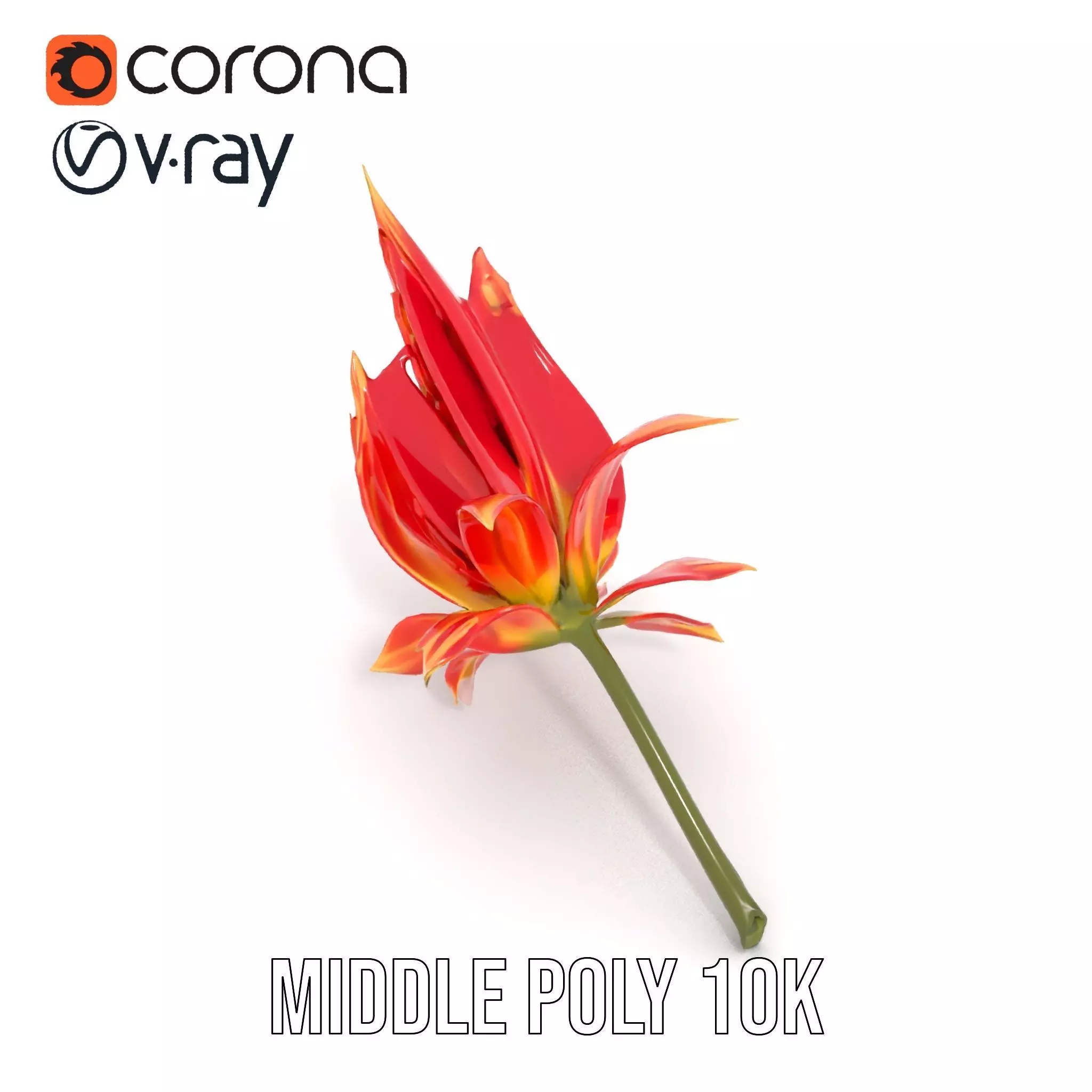 Pink Dew Flower model pack Low-poly 3D model_18