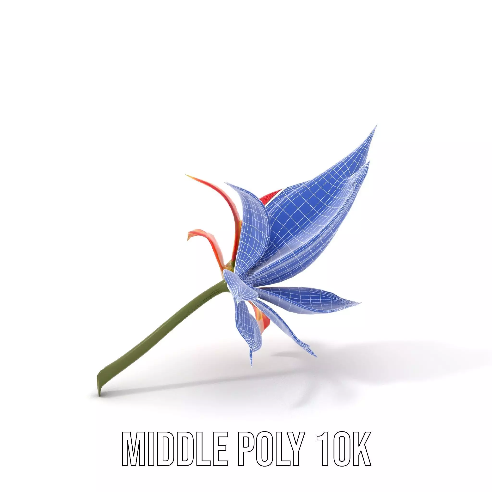 Pink Dew Flower model pack Low-poly 3D model_13