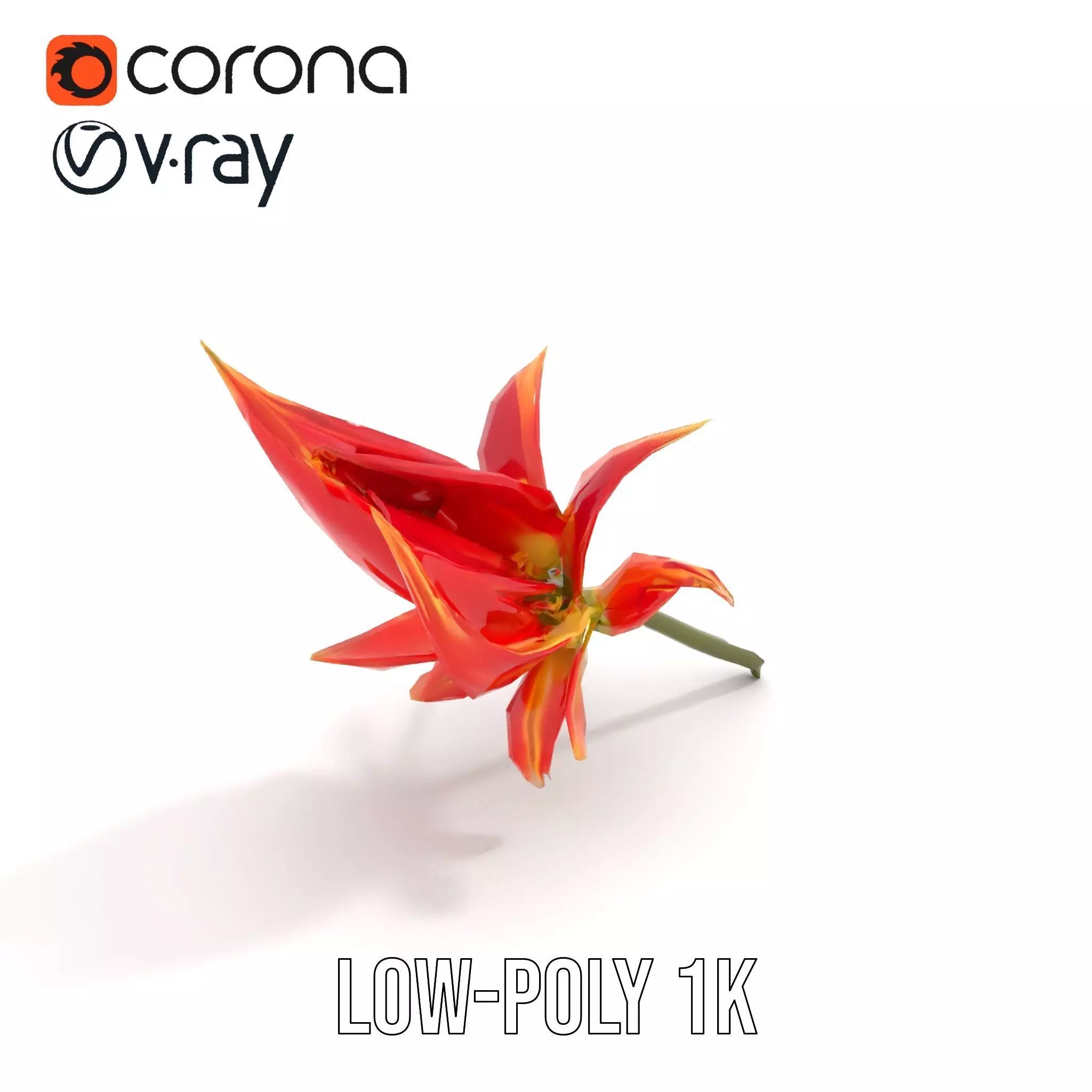 Pink Dew Flower model pack Low-poly 3D model_12