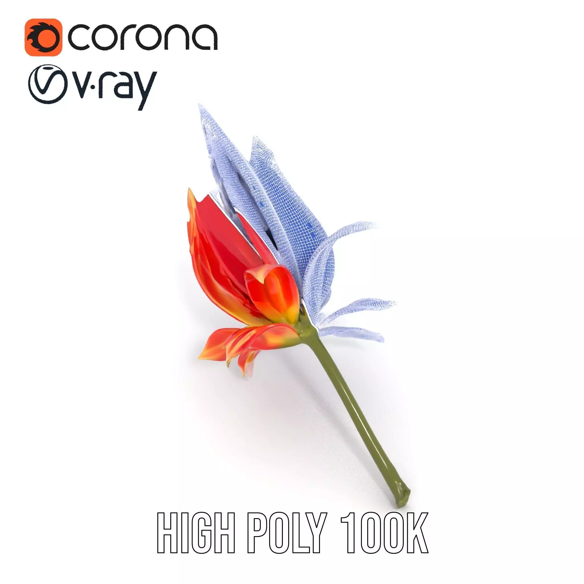 Pink Dew Flower model pack Low-poly 3D model_20