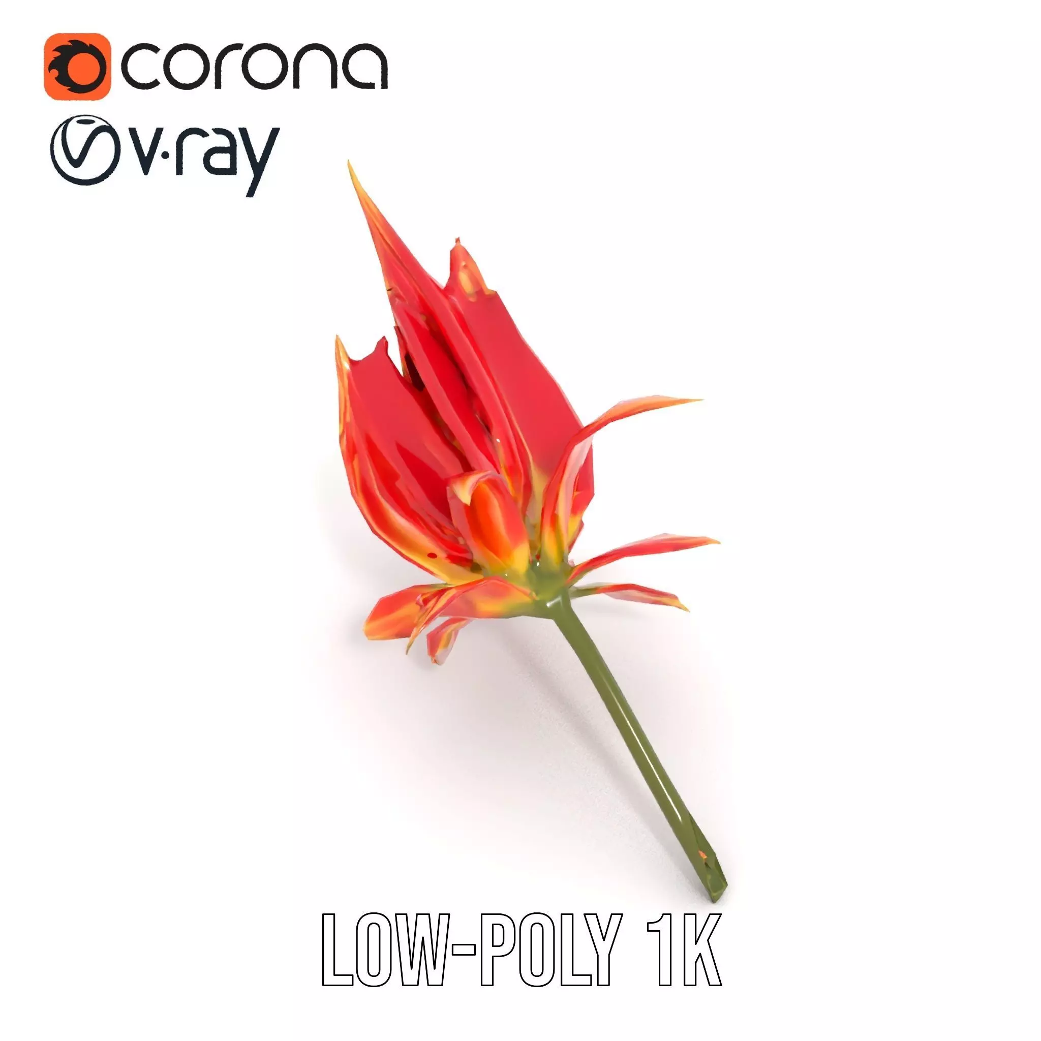 Pink Dew Flower model pack Low-poly 3D model_7