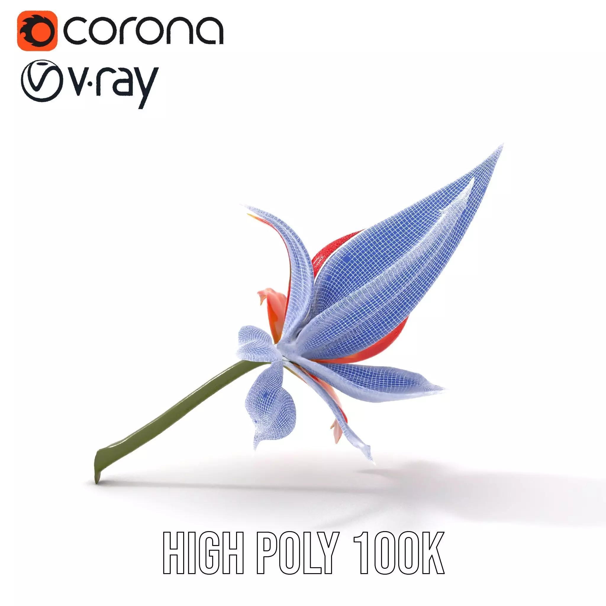 Pink Dew Flower model pack Low-poly 3D model_31