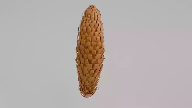 Pine Cone 3D Model Low-poly 3D model Pine Cone 3D Model Low-poly 3D model