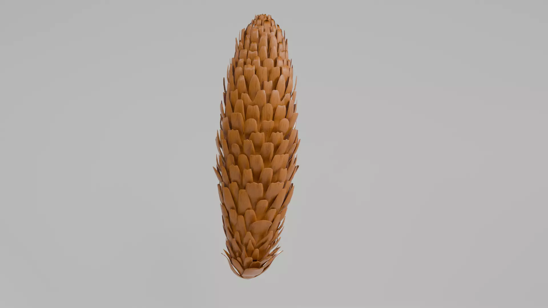Pine Cone 3D Model Low-poly 3D model_0