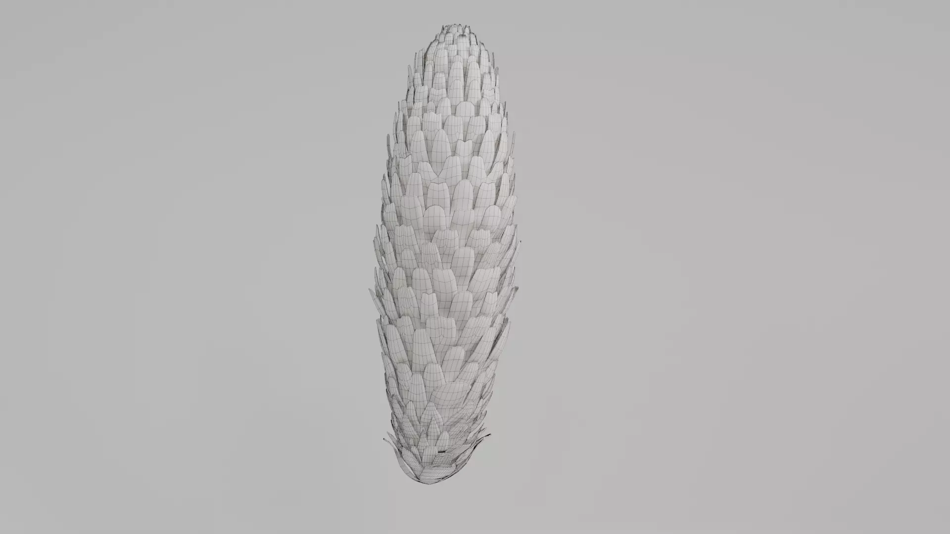 Pine Cone 3D Model Low-poly 3D model_1