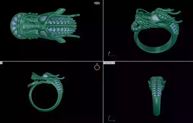 Dragon ring holding money