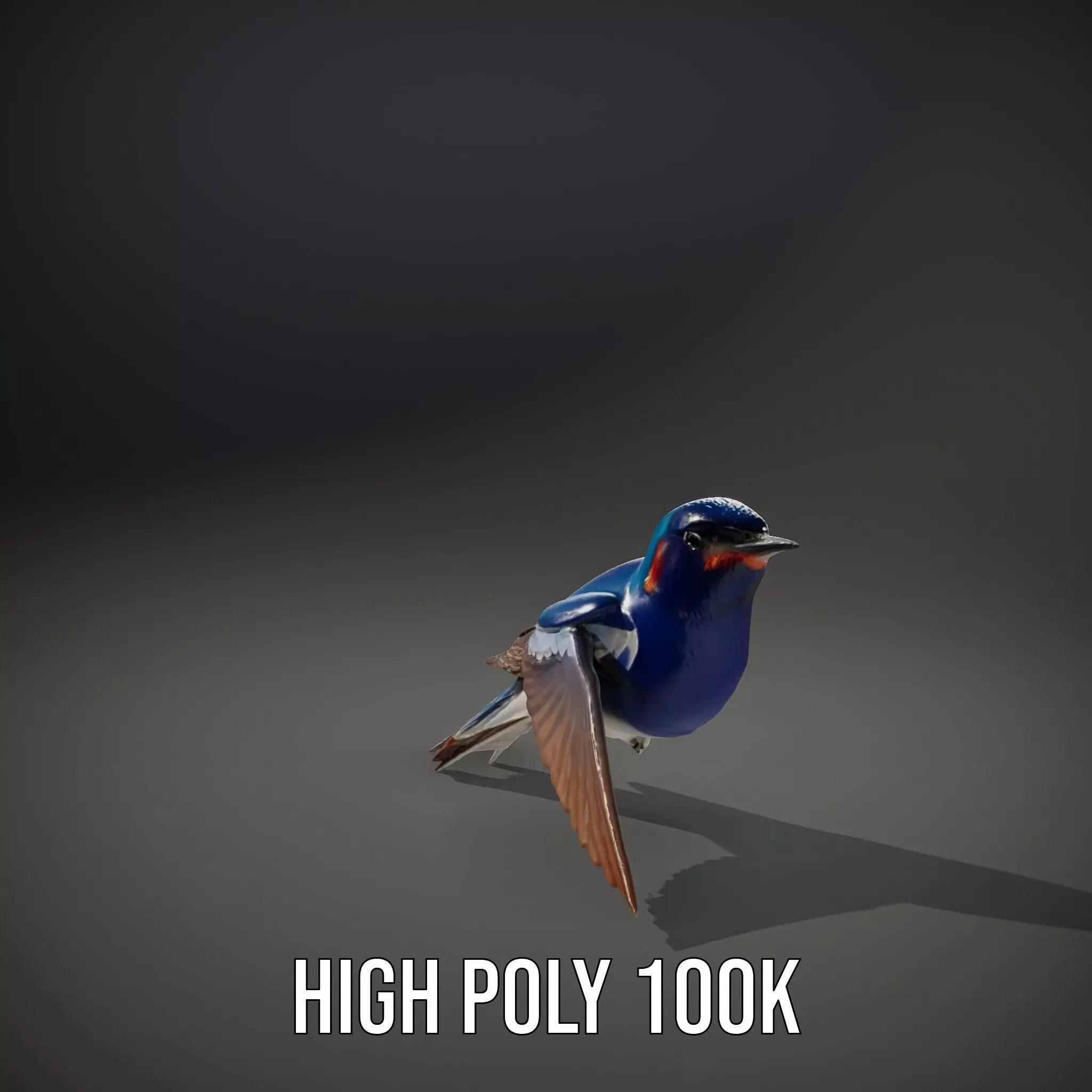 Vibrant Swallow model pack Low-poly 3D model_8