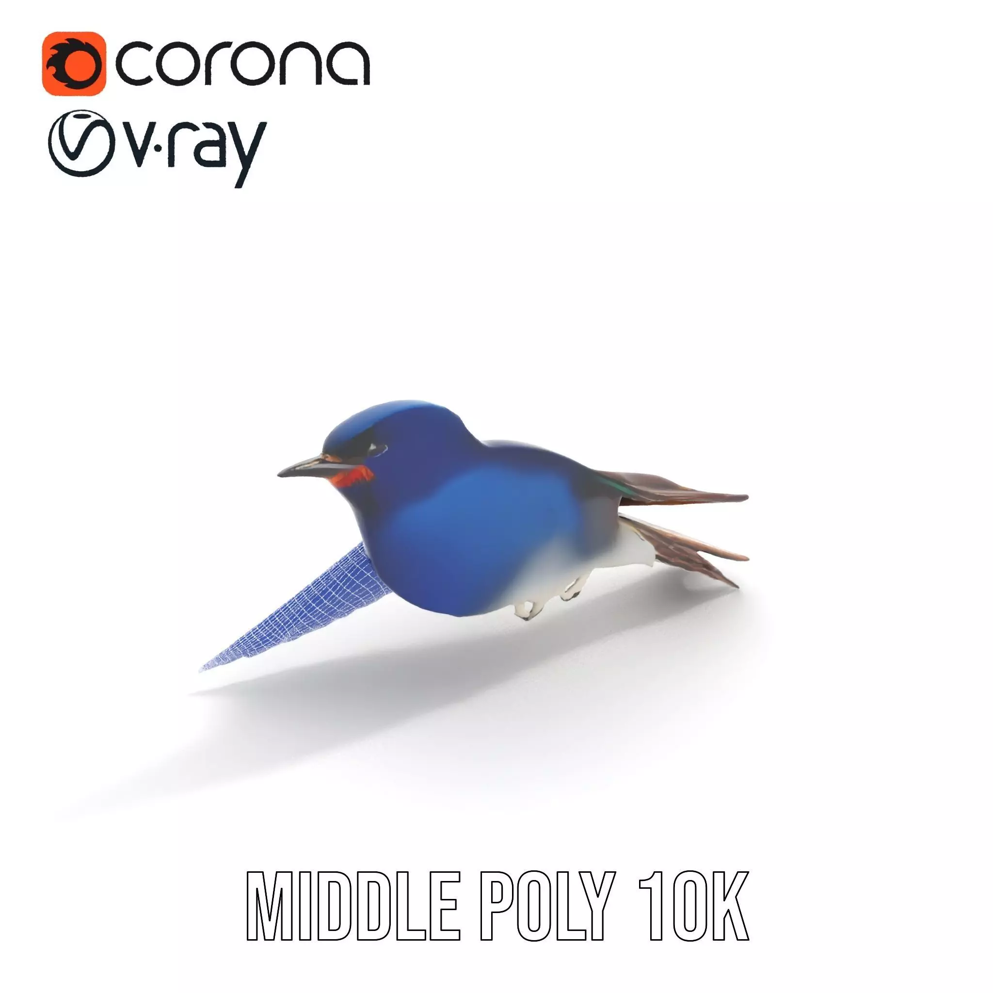 Vibrant Swallow model pack Low-poly 3D model_22