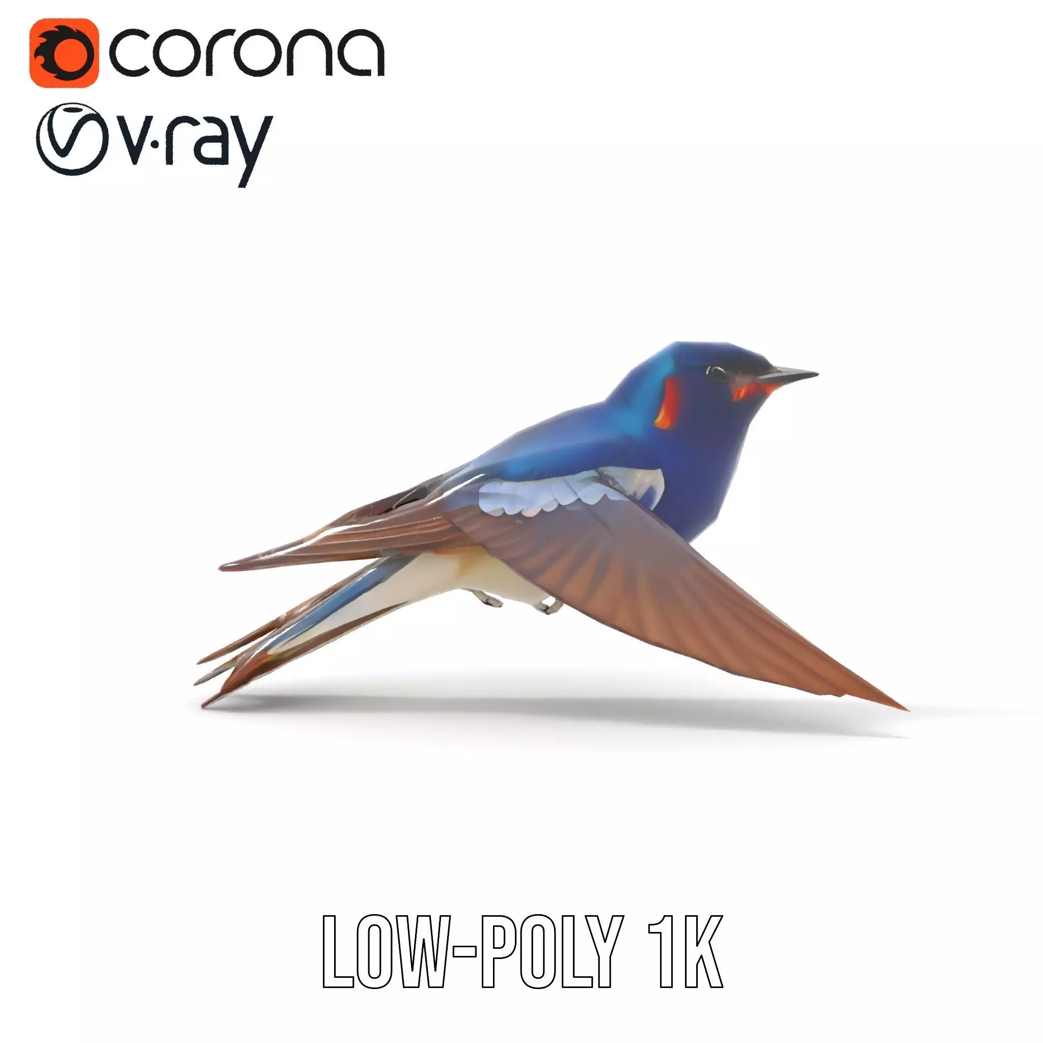 Vibrant Swallow model pack Low-poly 3D model_30