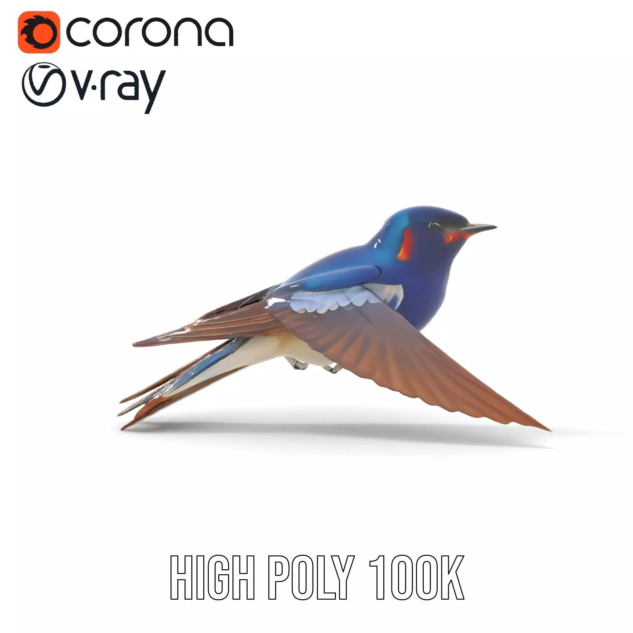 Vibrant Swallow model pack Low-poly 3D model_24