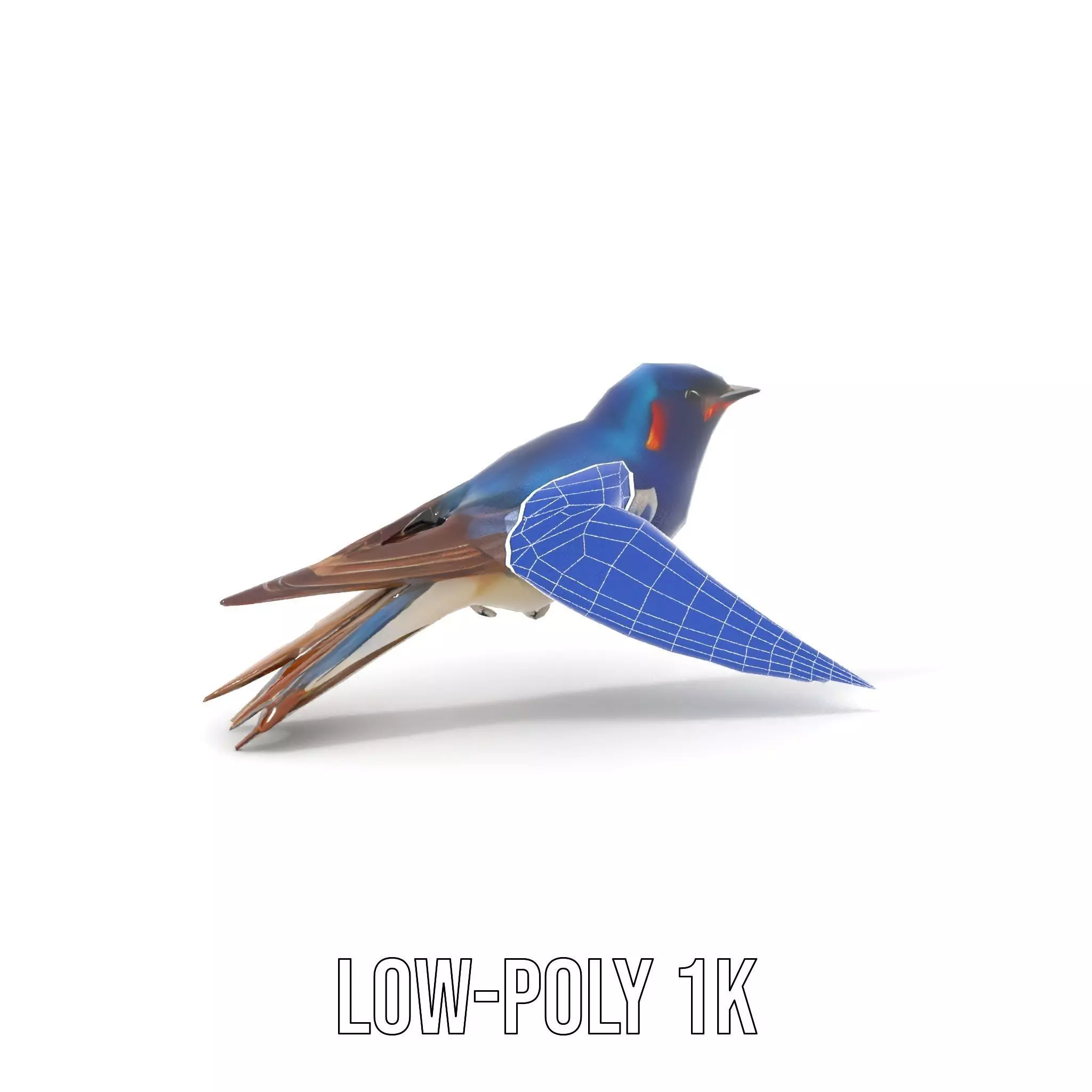 Vibrant Swallow model pack Low-poly 3D model_12