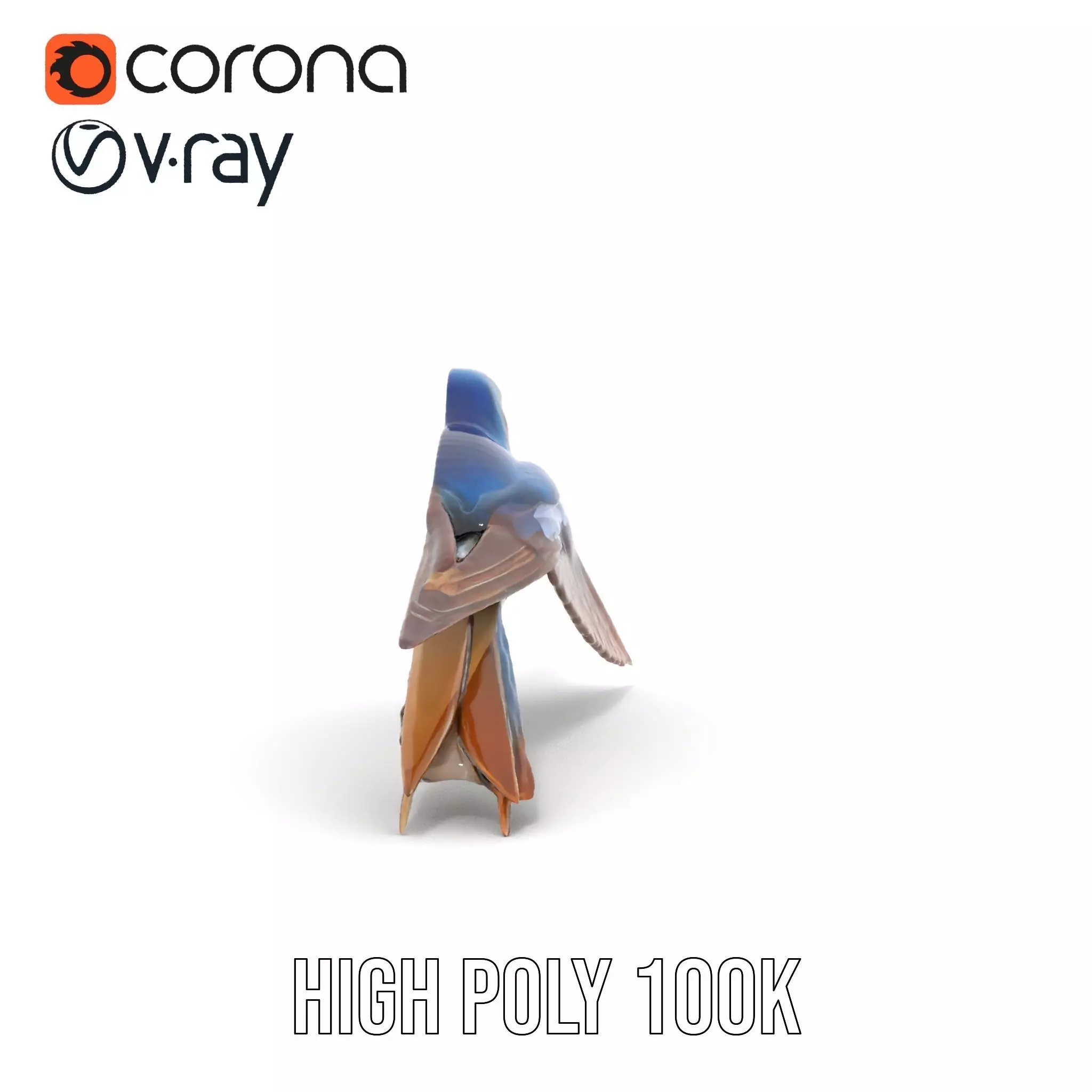 Vibrant Swallow model pack Low-poly 3D model_18