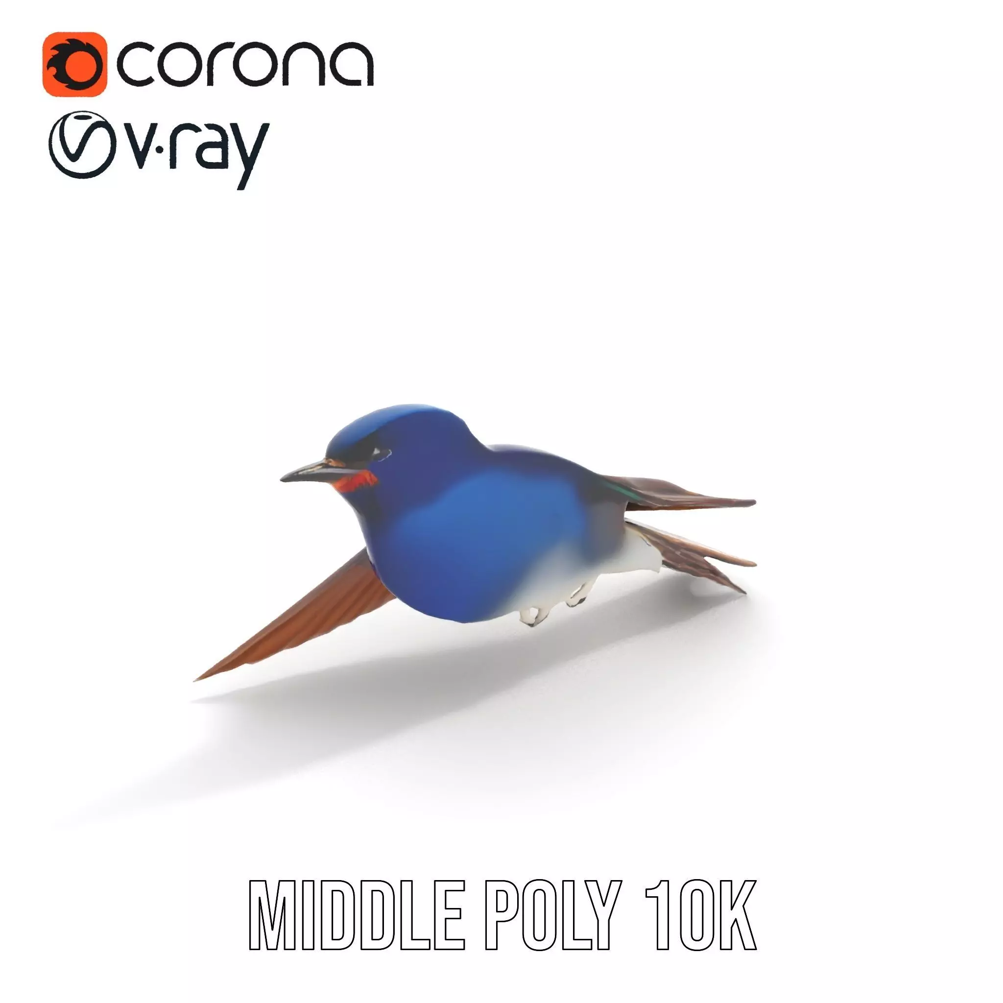 Vibrant Swallow model pack Low-poly 3D model_16